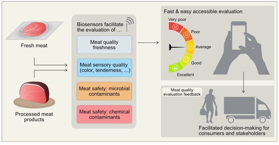 Chemosensors | Free Full-Text | Emerging Role of Biosensors and Chemical  Indicators to Monitor the Quality and Safety of Meat and Meat Products