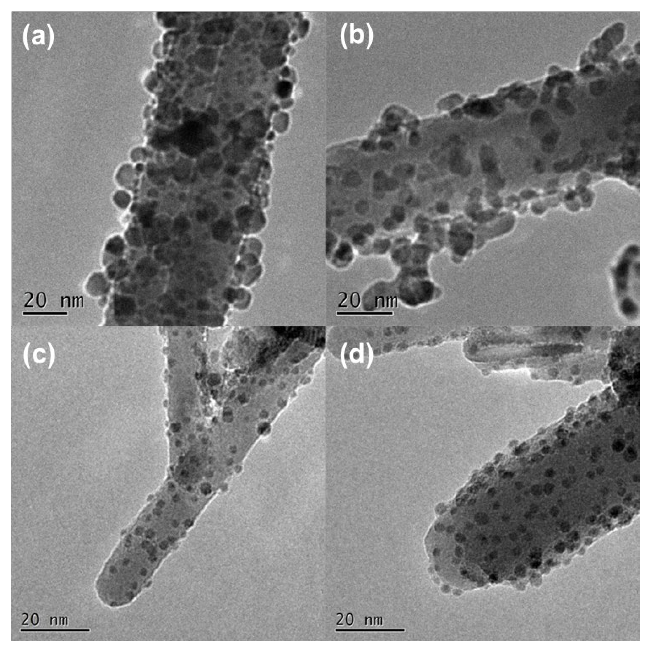 Chemosensors 10 00329 g002