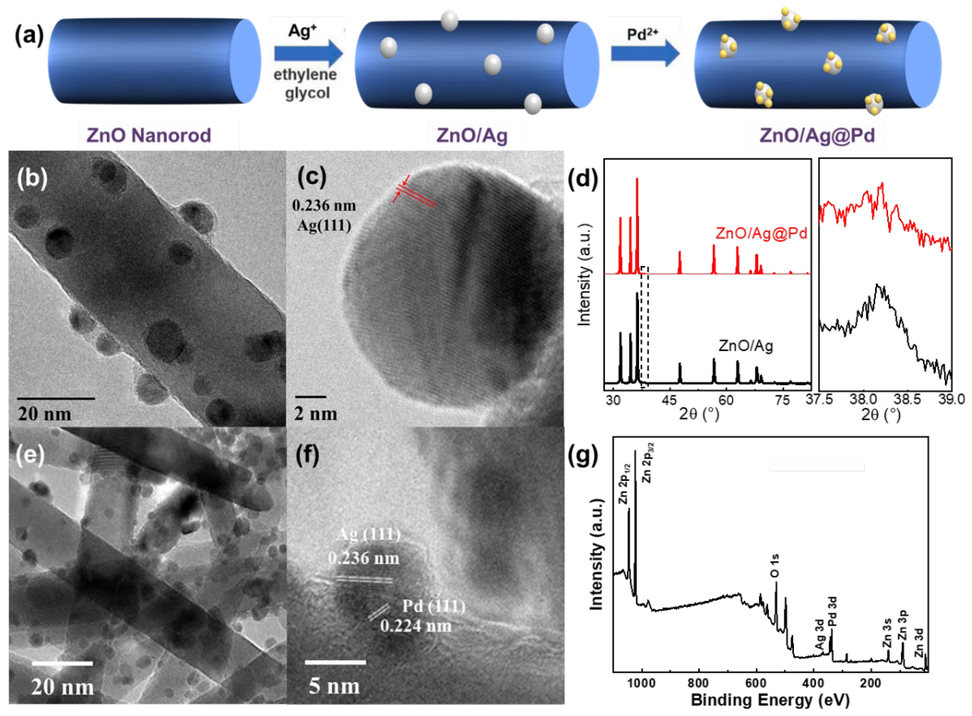 Chemosensors 10 00329 g004