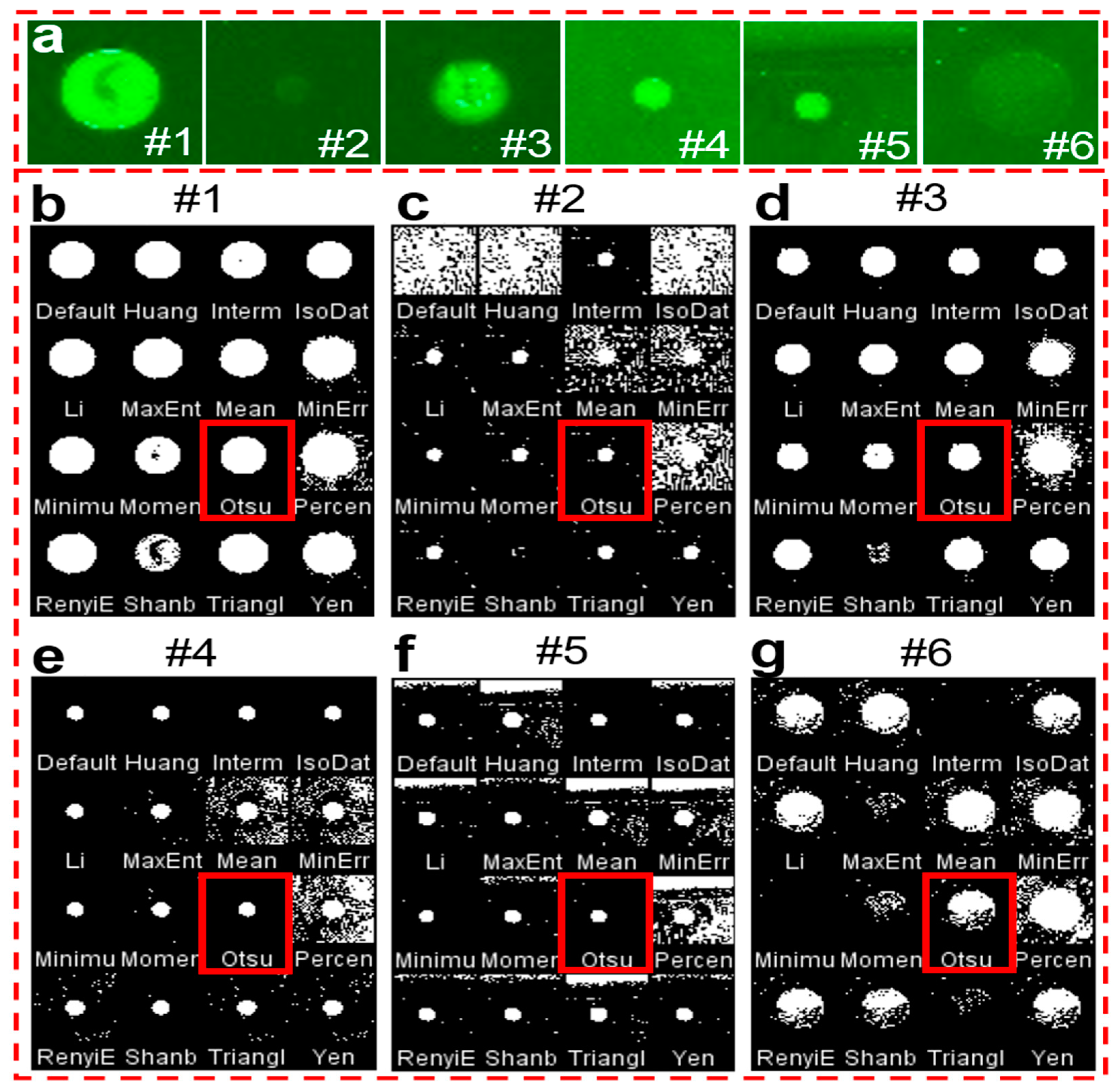 Chemosensors 10 00330 g003