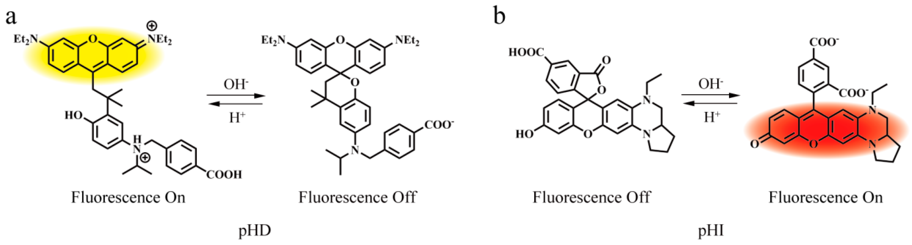 Chemosensors 10 00354 g001