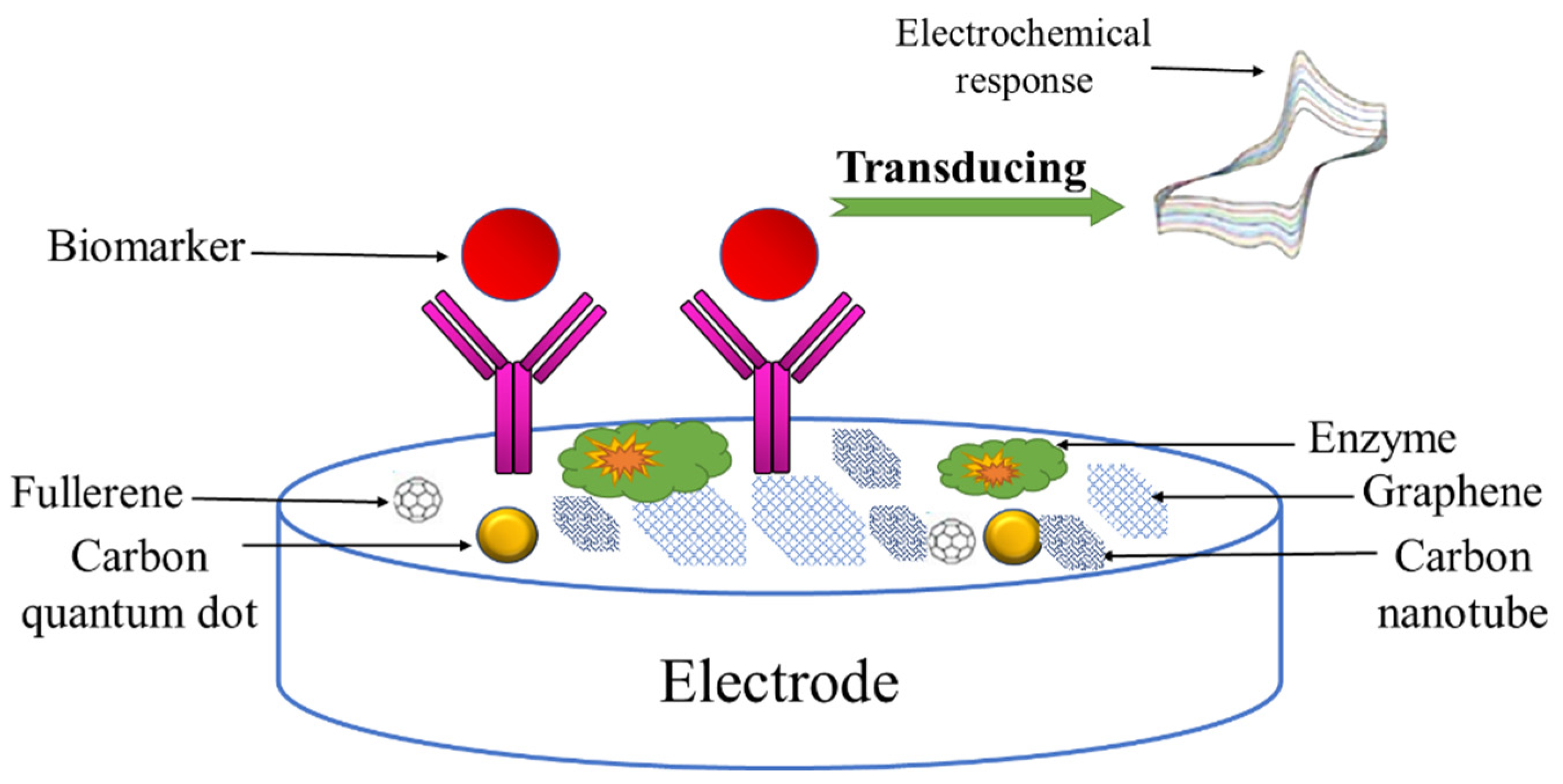 Chemosensors | Free Full-Text | Electrochemical Sensors And Their ...