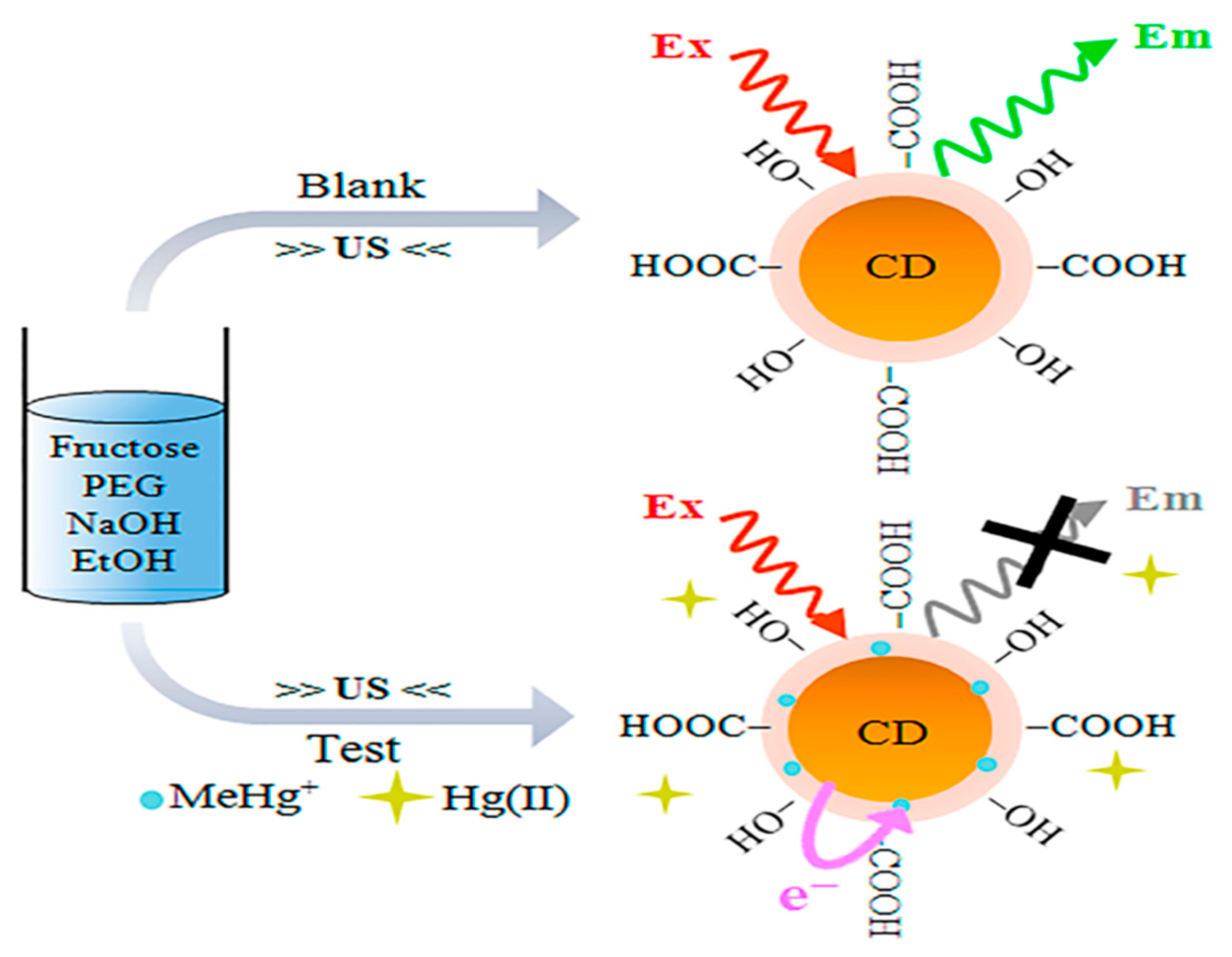 Chemosensors | Free Full-Text | Nanocomposites Of Carbon Quantum Dots ...