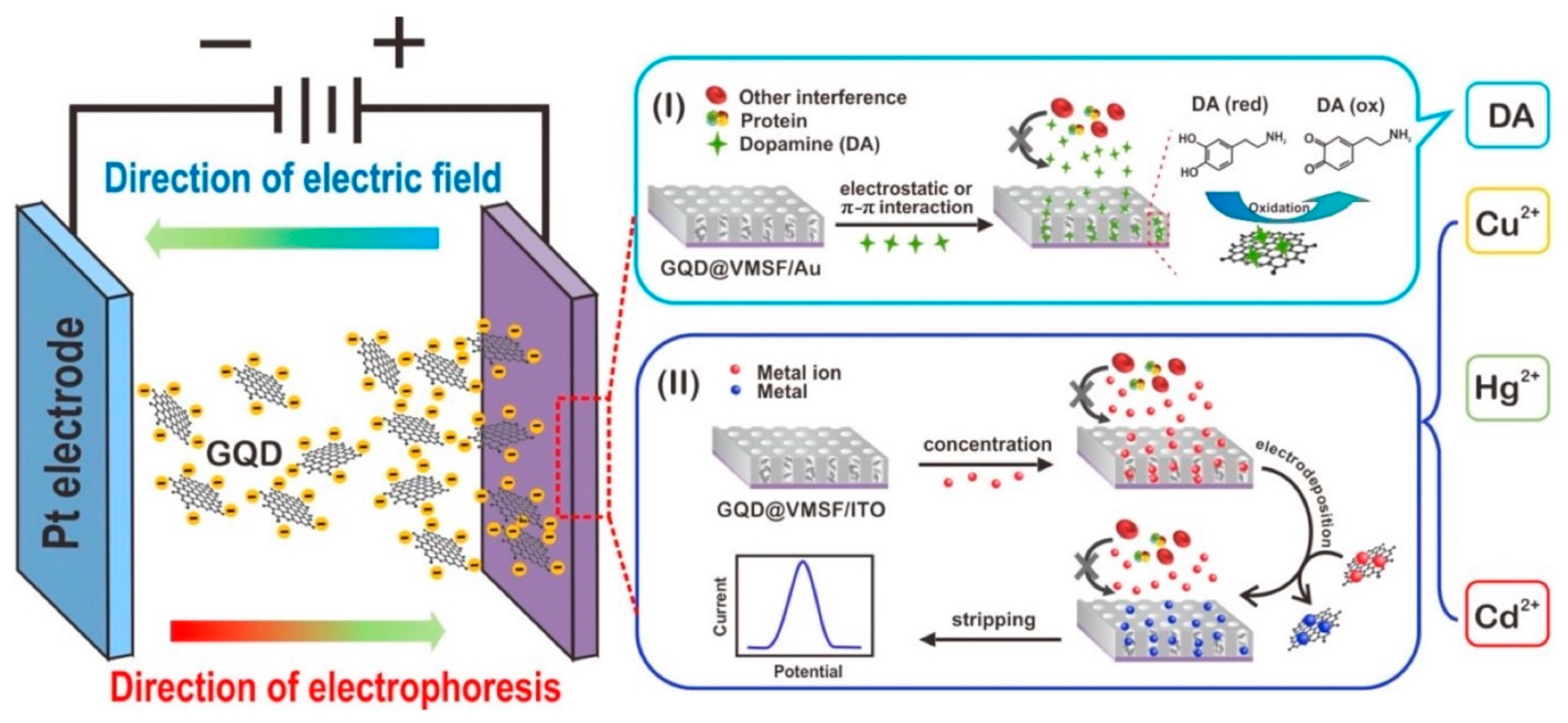 Chemosensors Free Full Text Nanocomposites Of Carbon Quantum Dots