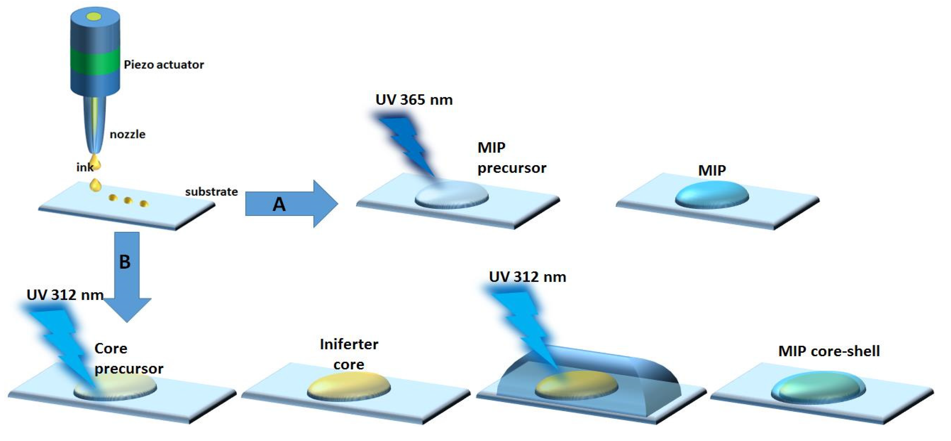 Chemosensors 10 00396 g003