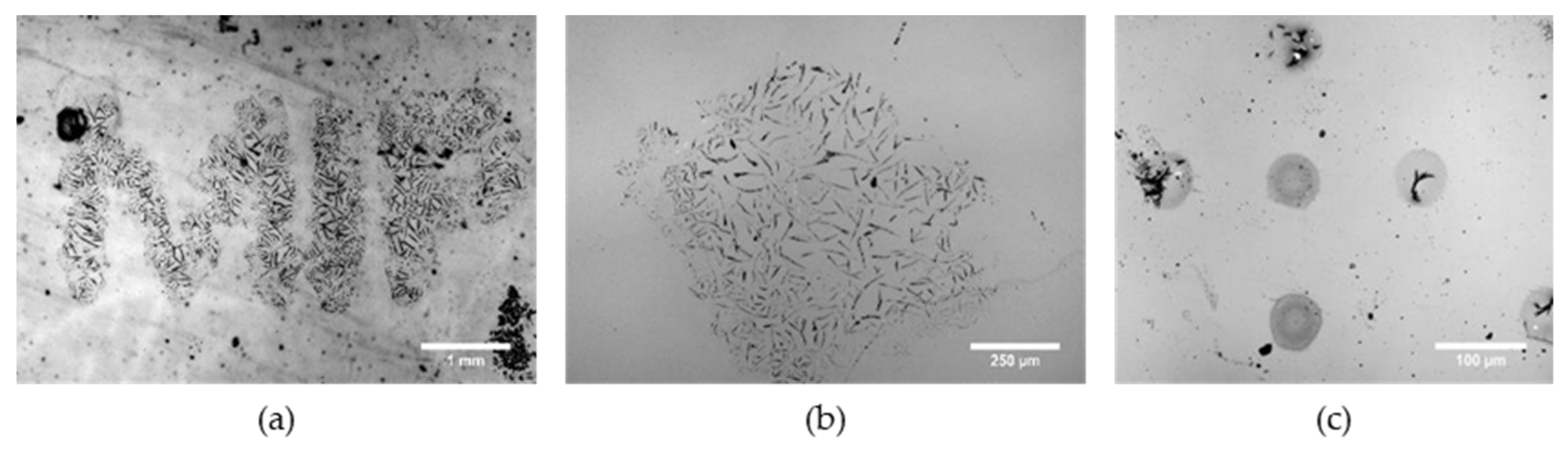 Chemosensors 10 00396 g004