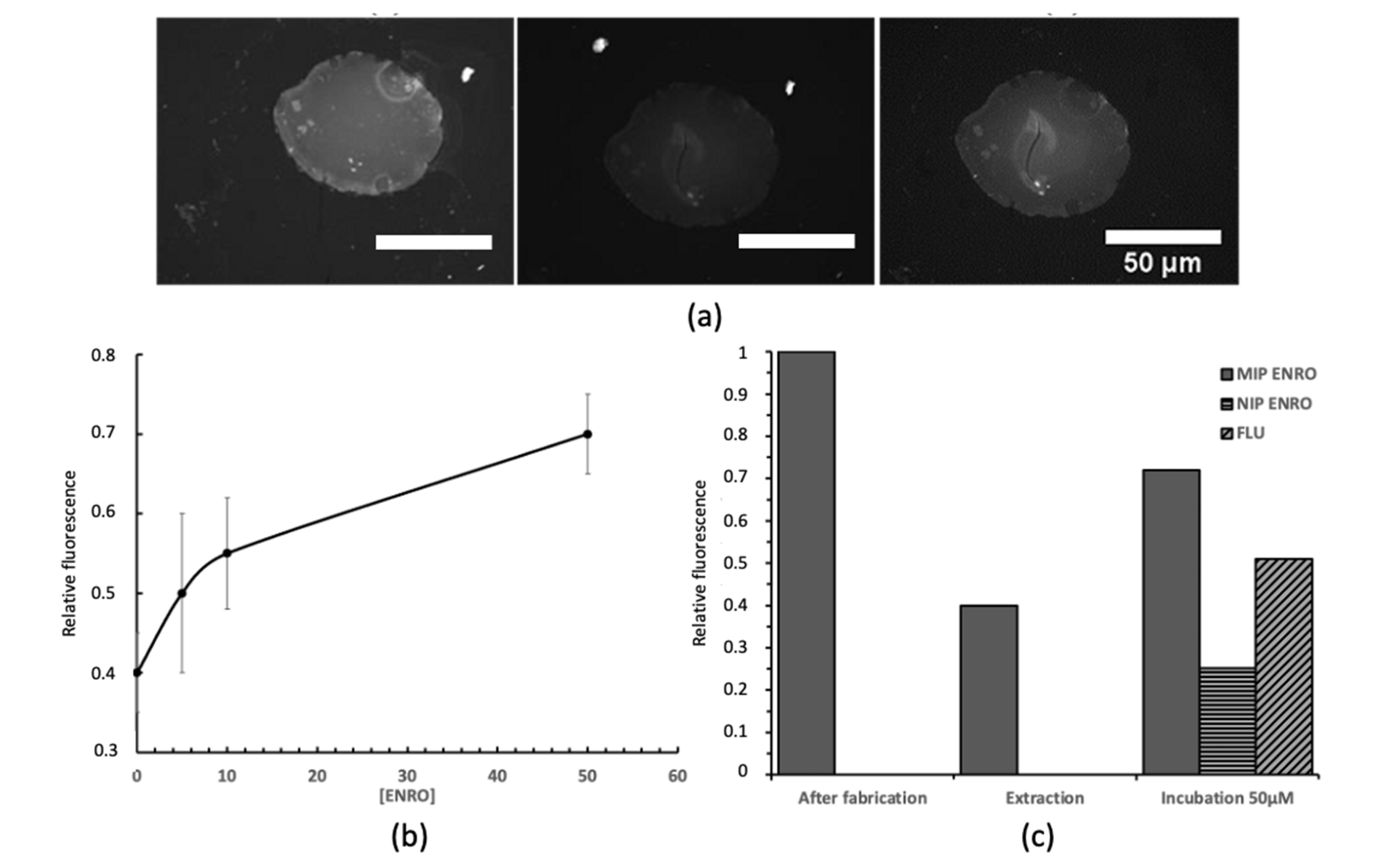 Chemosensors 10 00396 g006