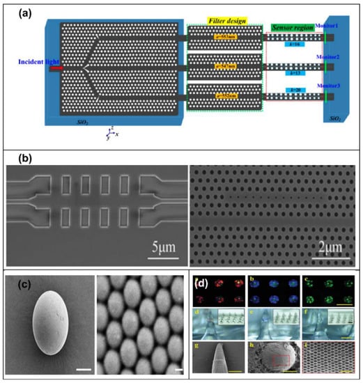 Chemosensors, Free Full-Text