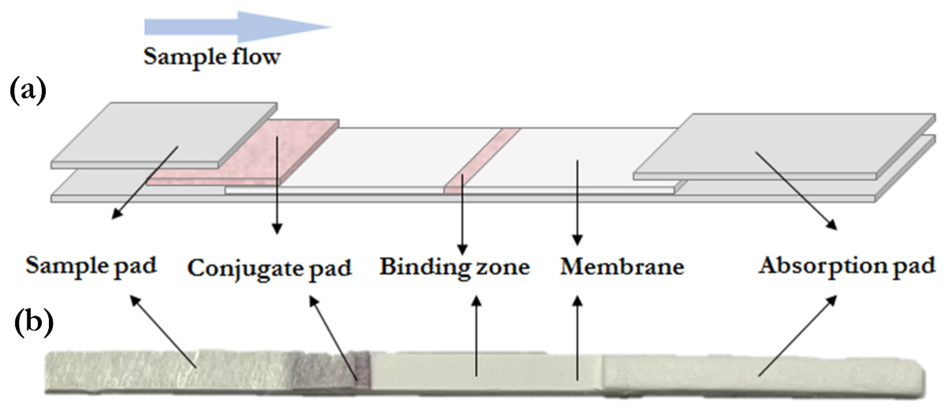 Chemosensors 10 00413 sch001