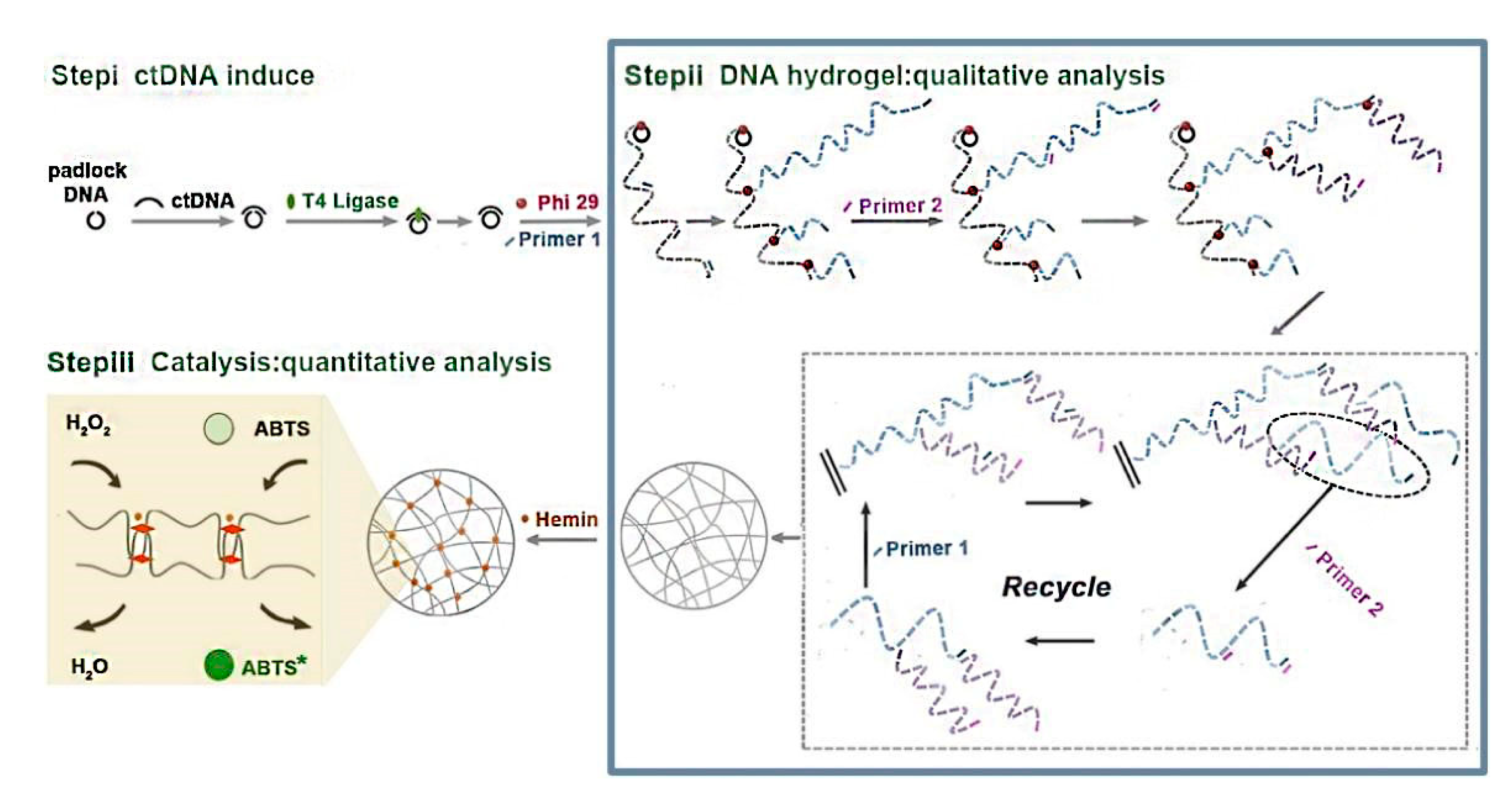 Chemosensors 10 00415 g001
