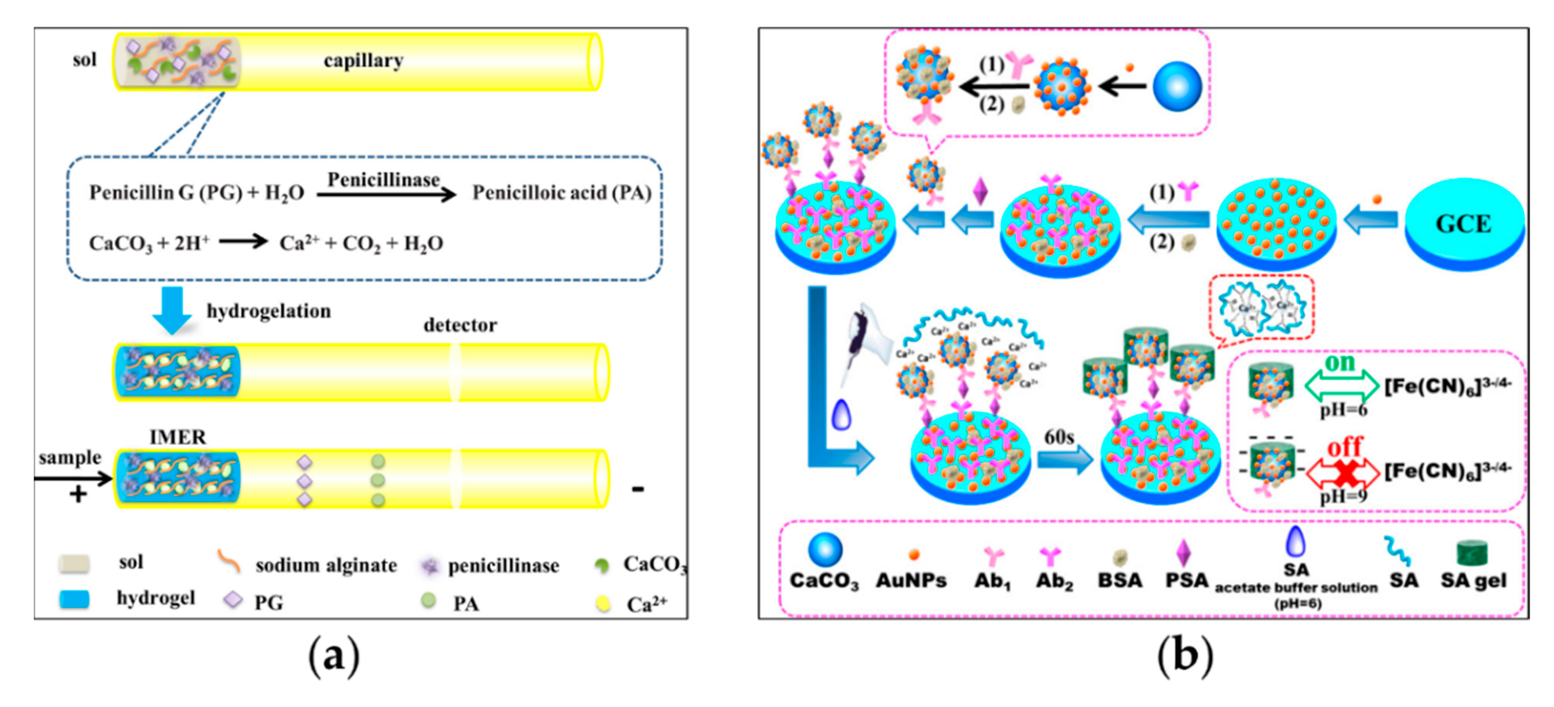 Chemosensors 10 00415 g002