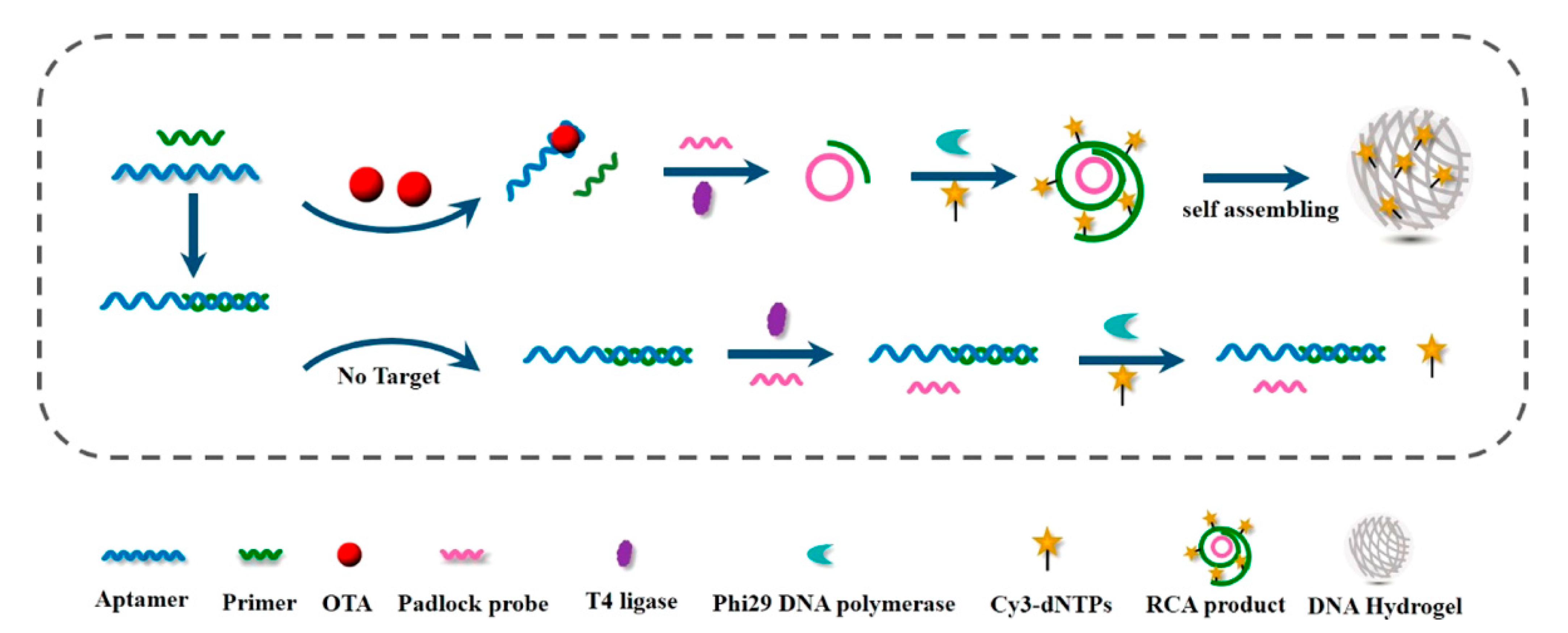 Chemosensors 10 00415 g004