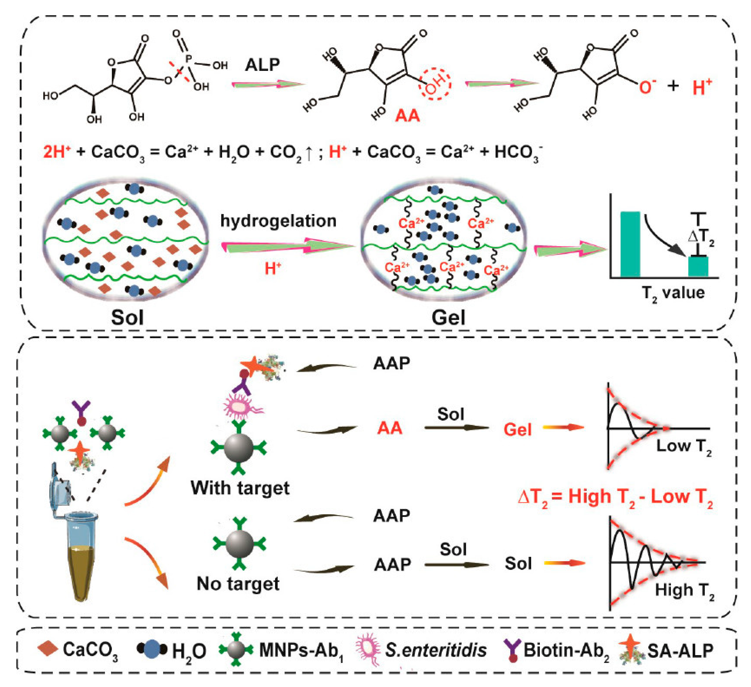 Chemosensors 10 00415 g006