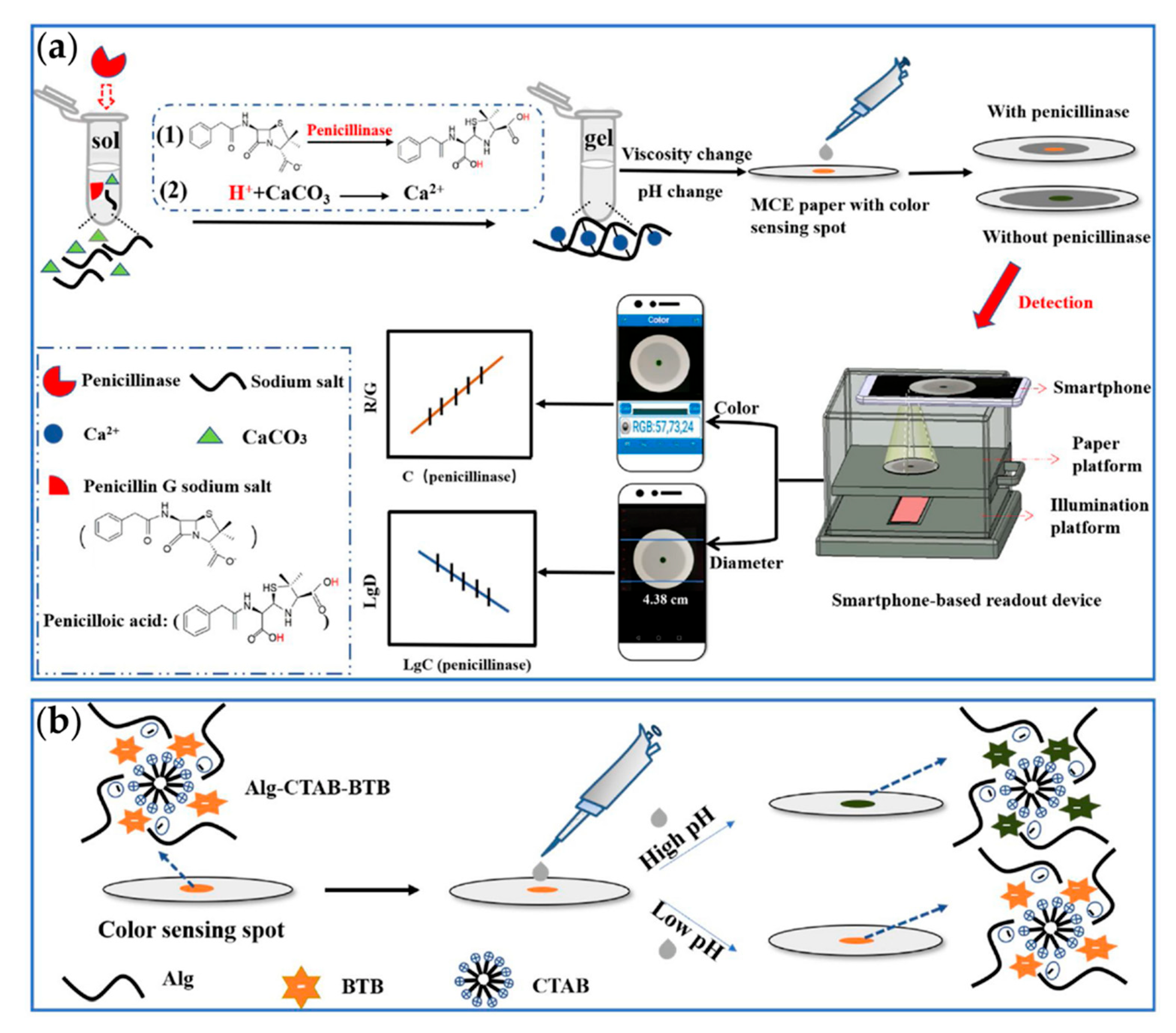 Chemosensors 10 00415 g011
