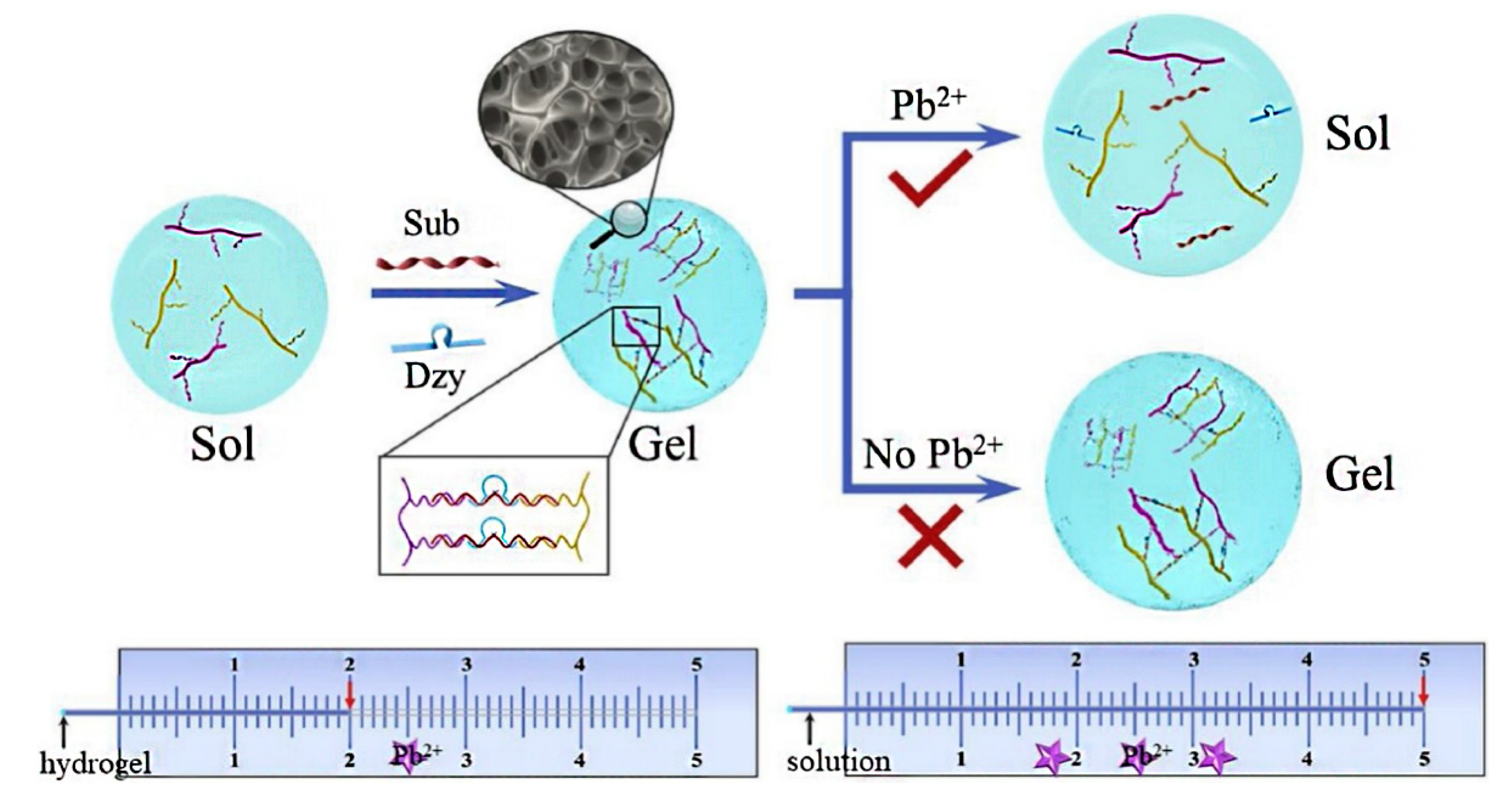 Chemosensors 10 00415 g012
