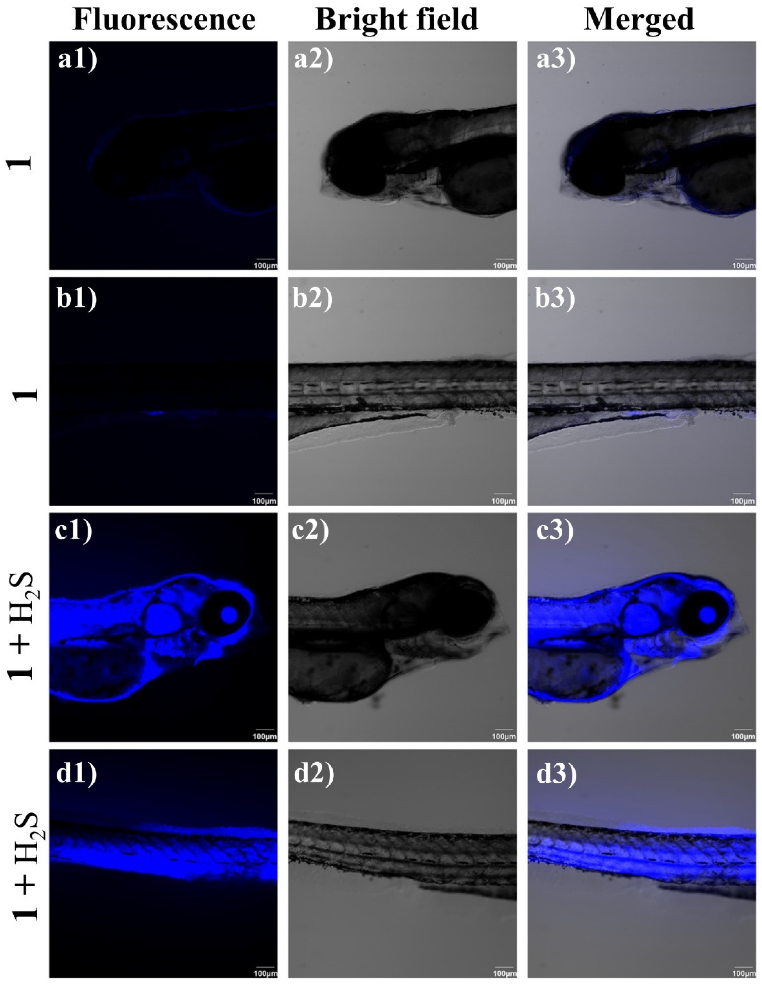 Chemosensors 10 00427 g007