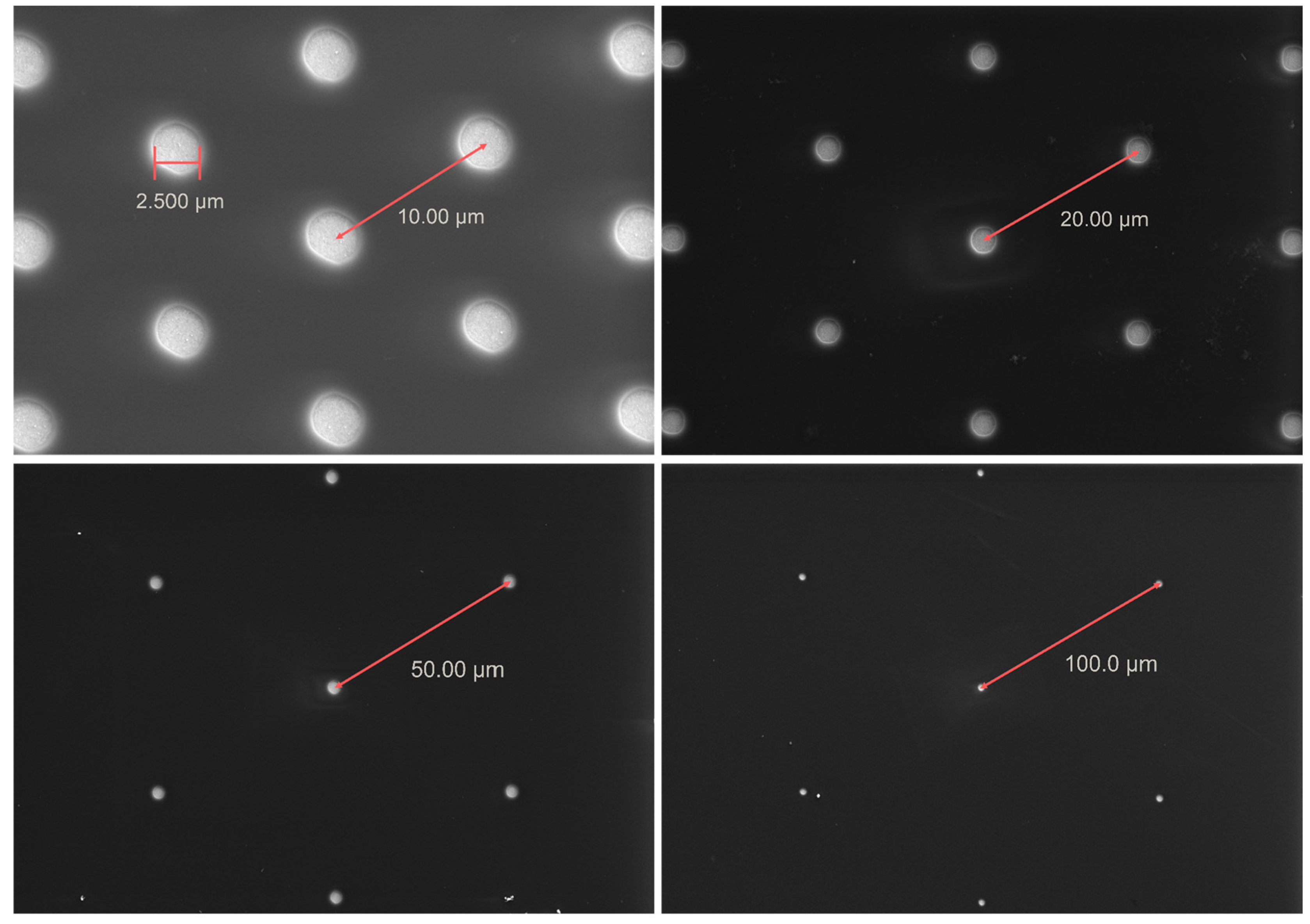 Chemosensors 10 00433 g006