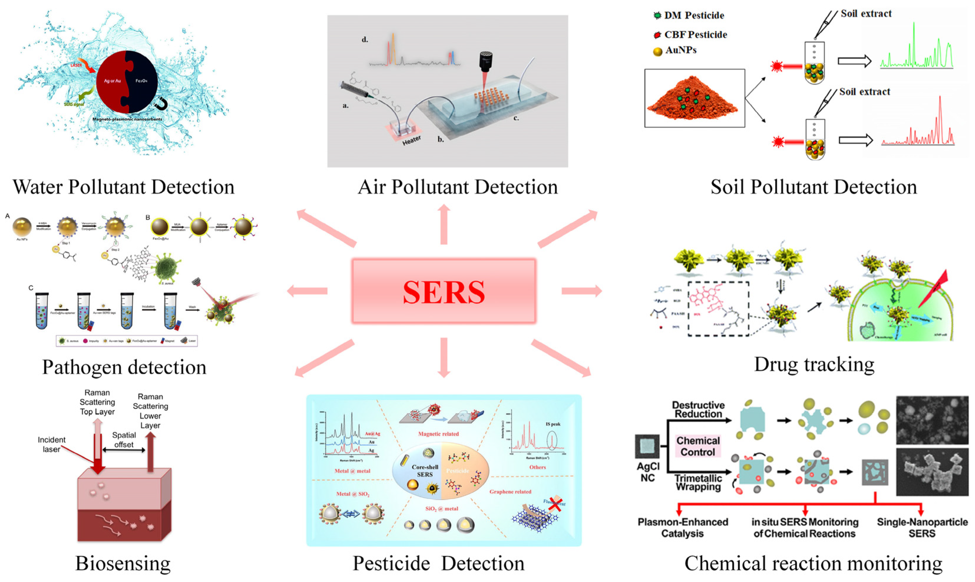 Chemosensors 10 00449 g002