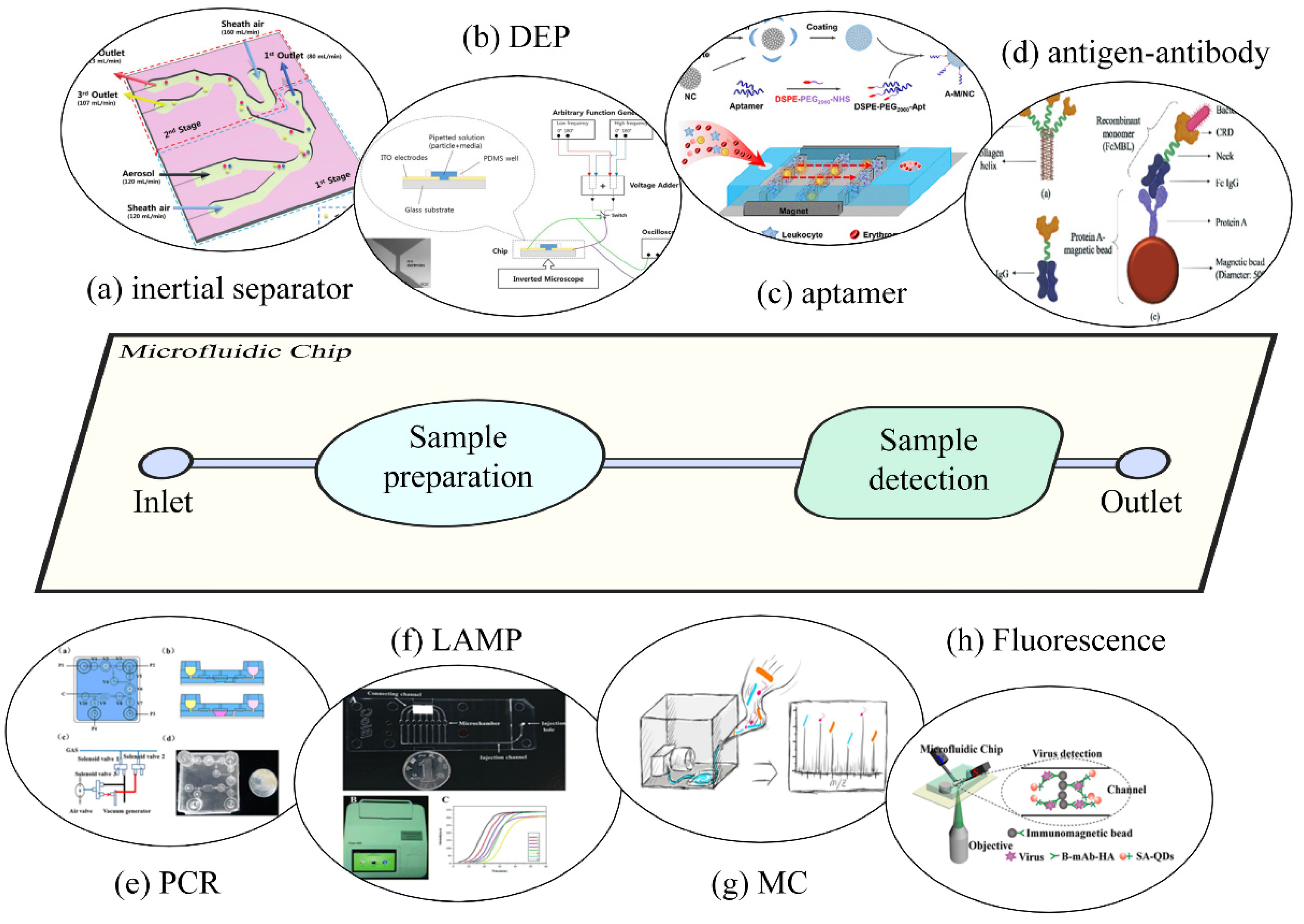 Chemosensors 10 00449 g003