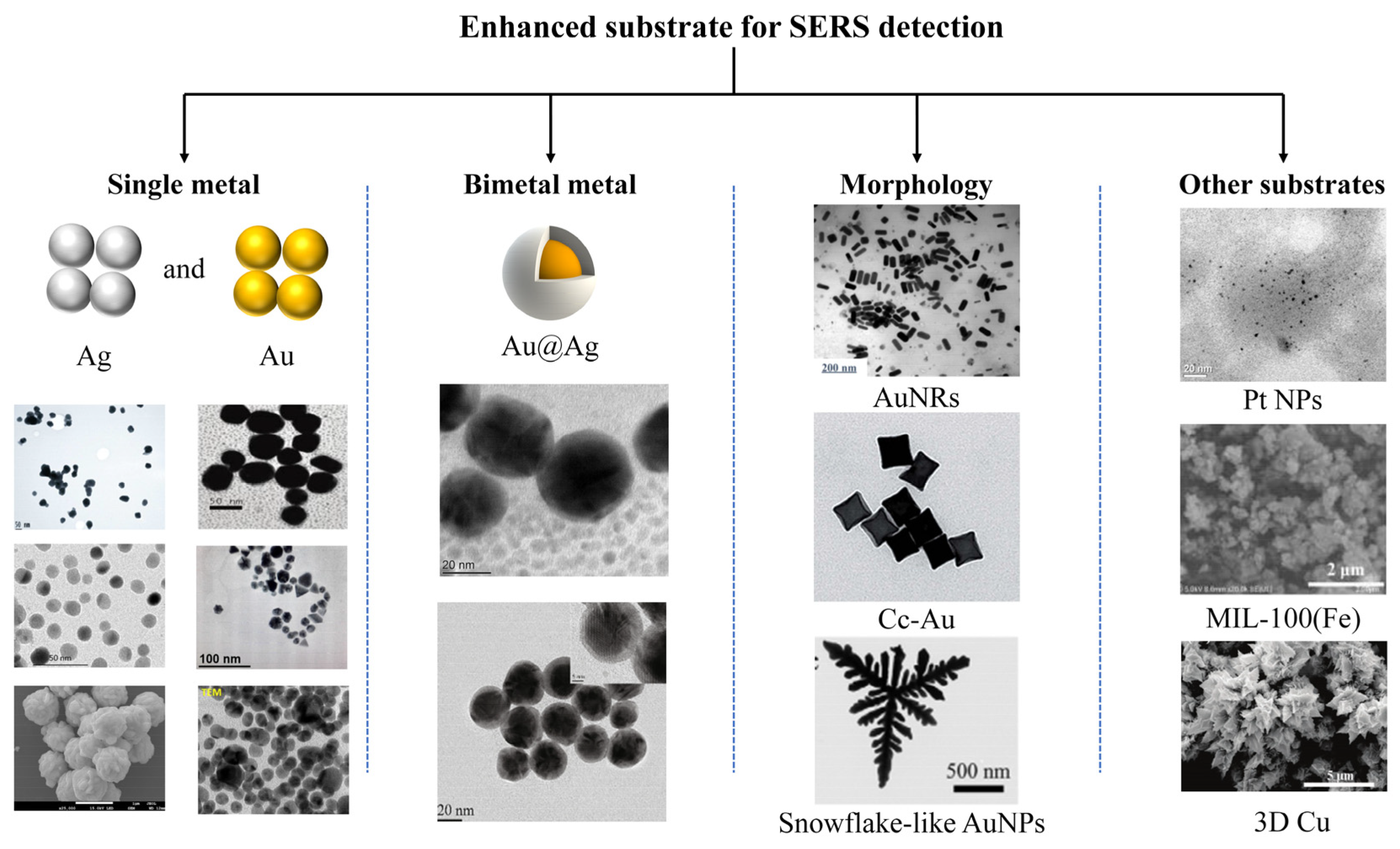 Chemosensors 10 00449 g004