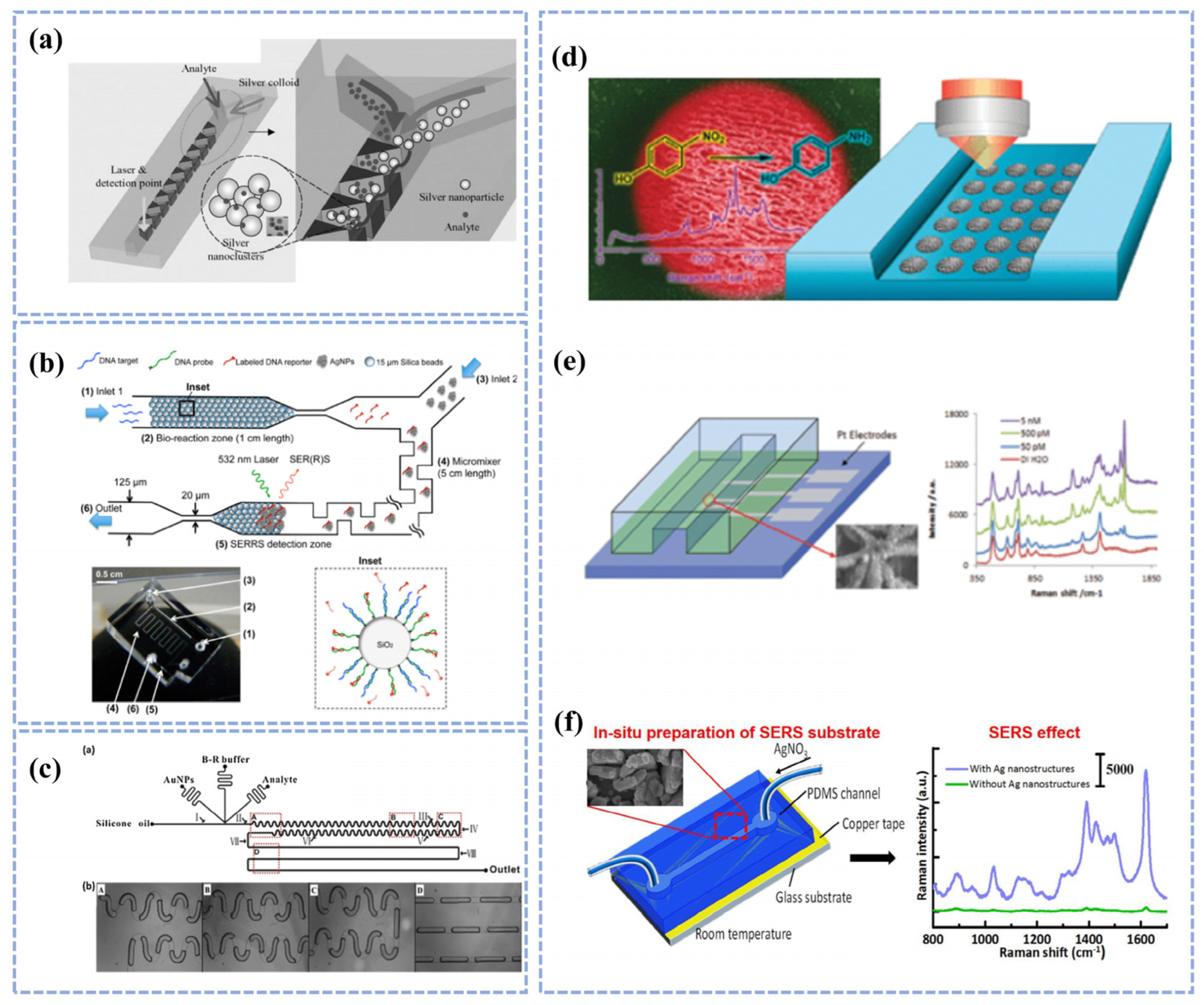 Chemosensors 10 00449 g005