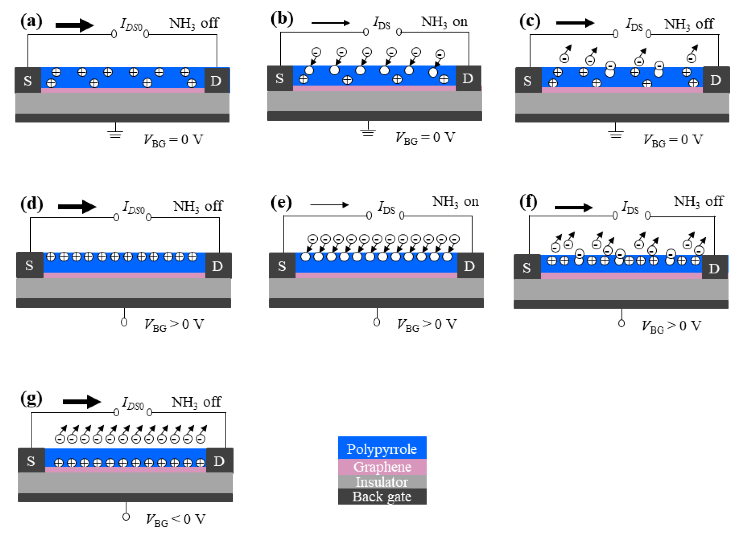 Chemosensors 10 00467 g001