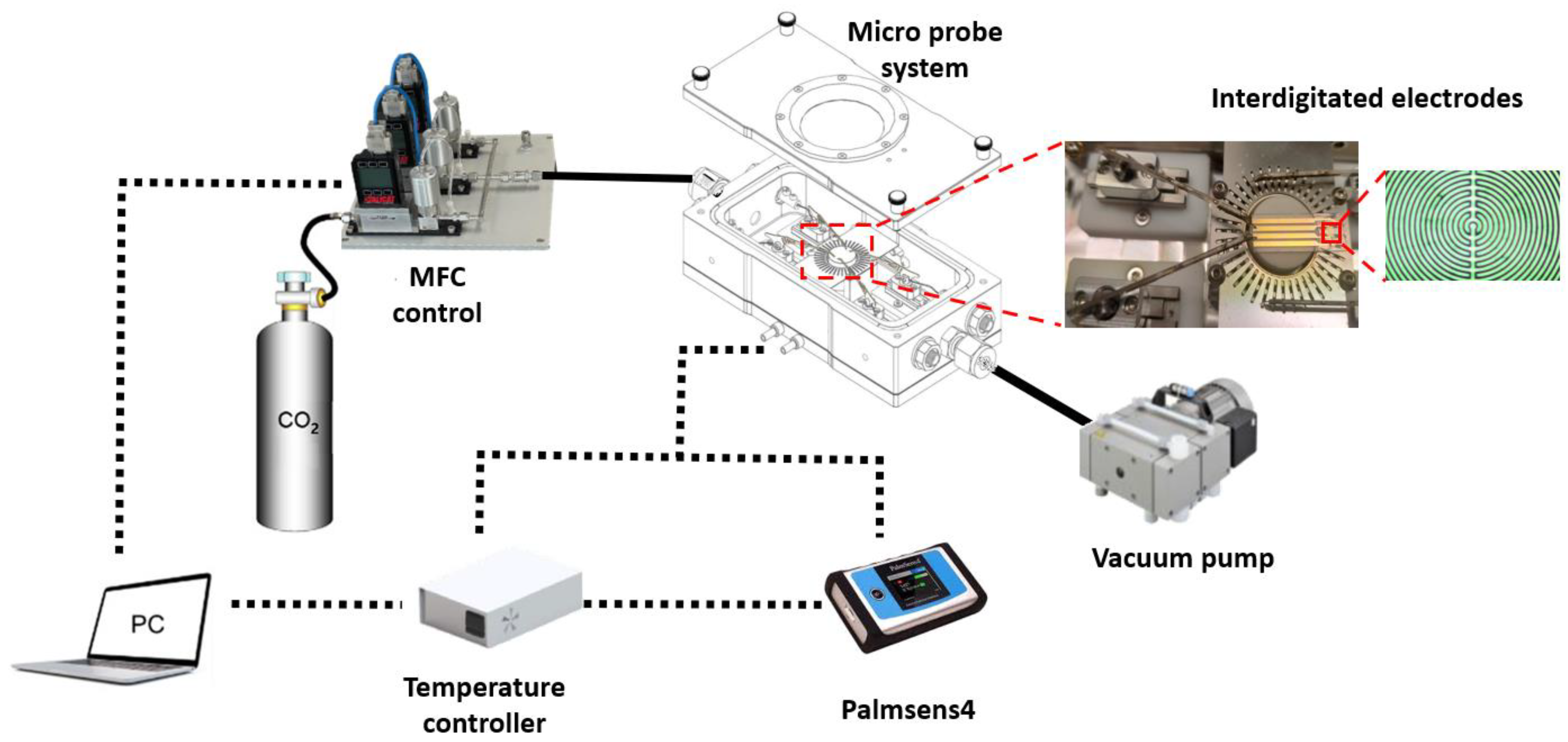 Chemosensors 10 00470 g001