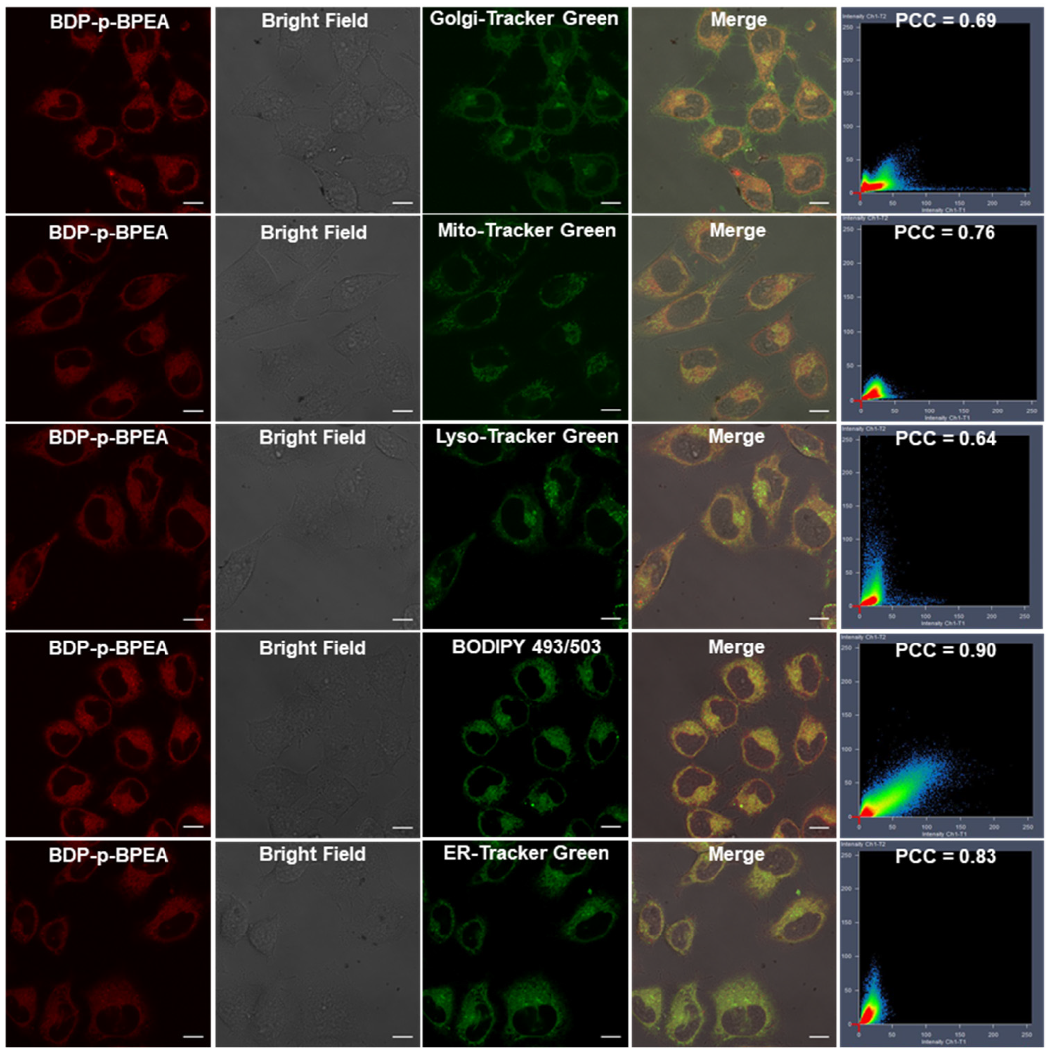 Chemosensors 10 00477 g003