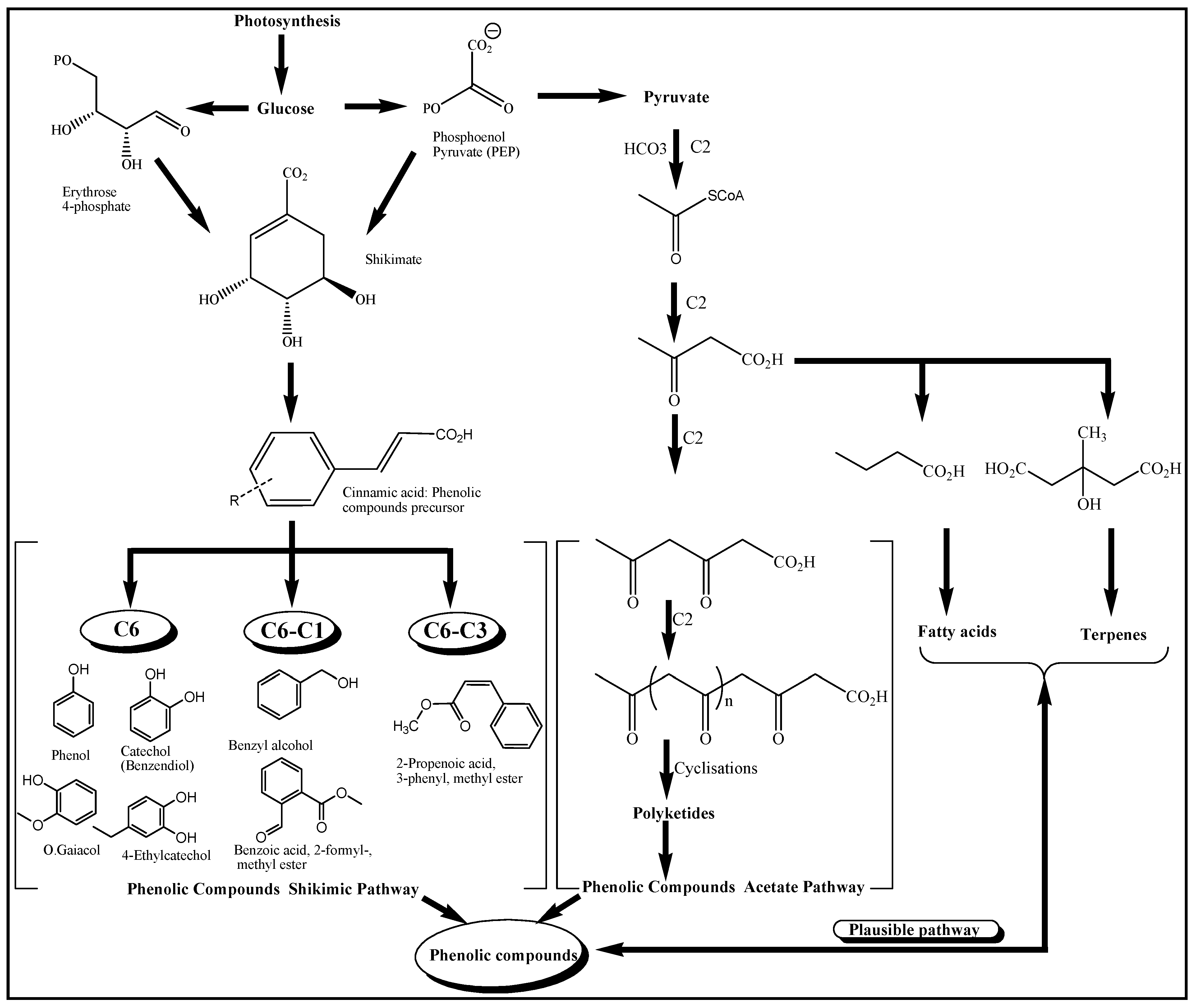Chemosensors 10 00491 g003