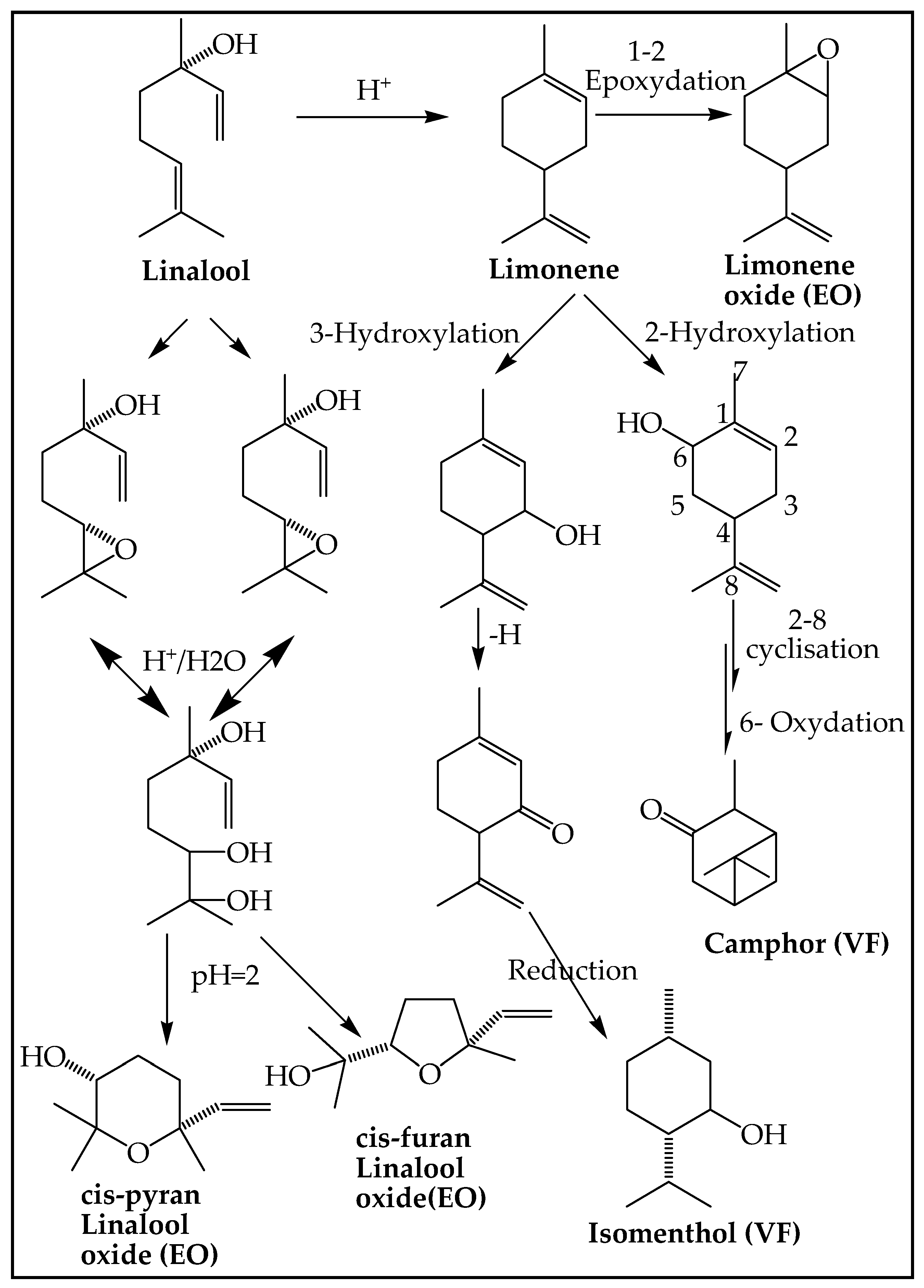 Chemosensors 10 00491 g004