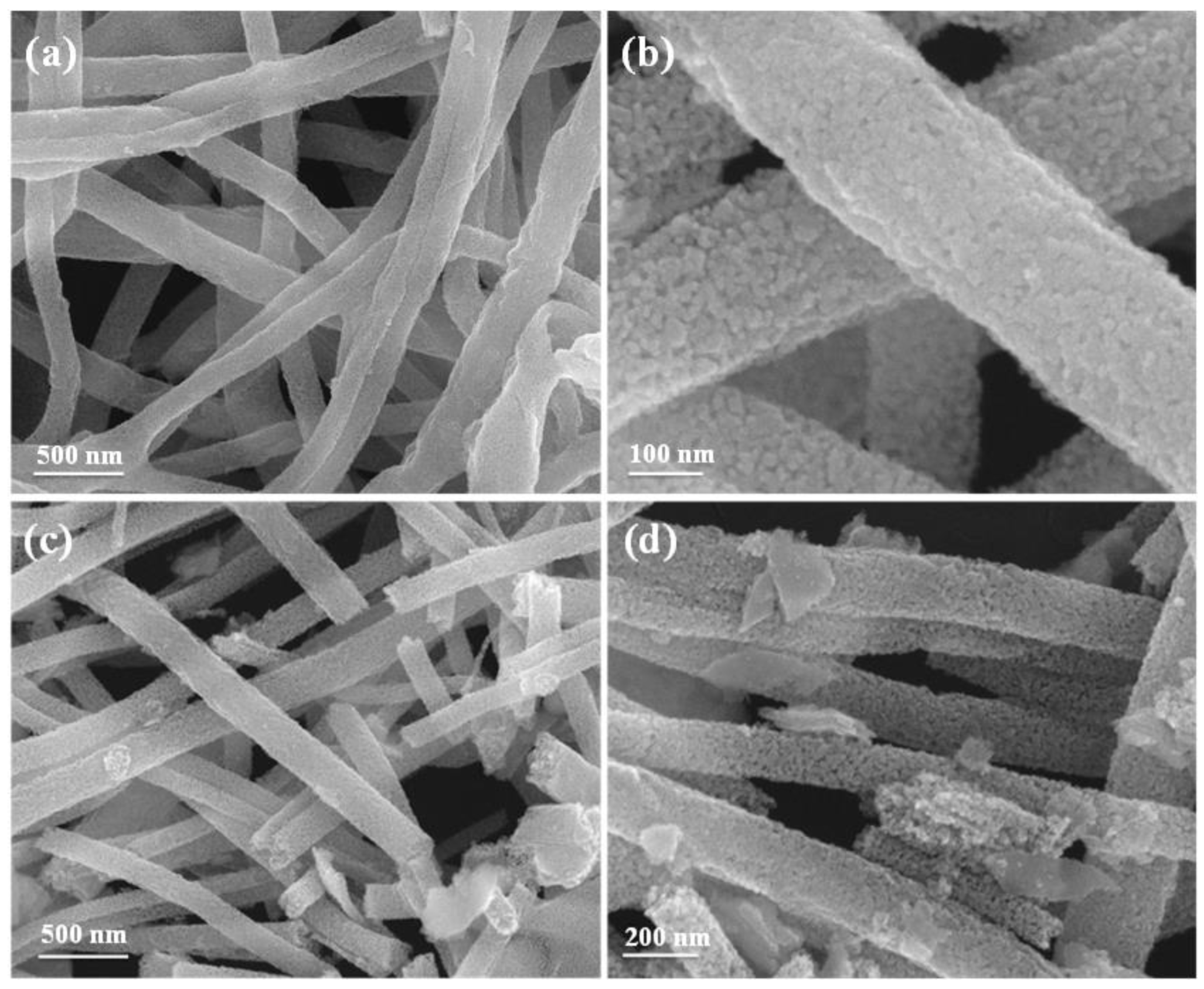 Chemosensors 10 00497 g003