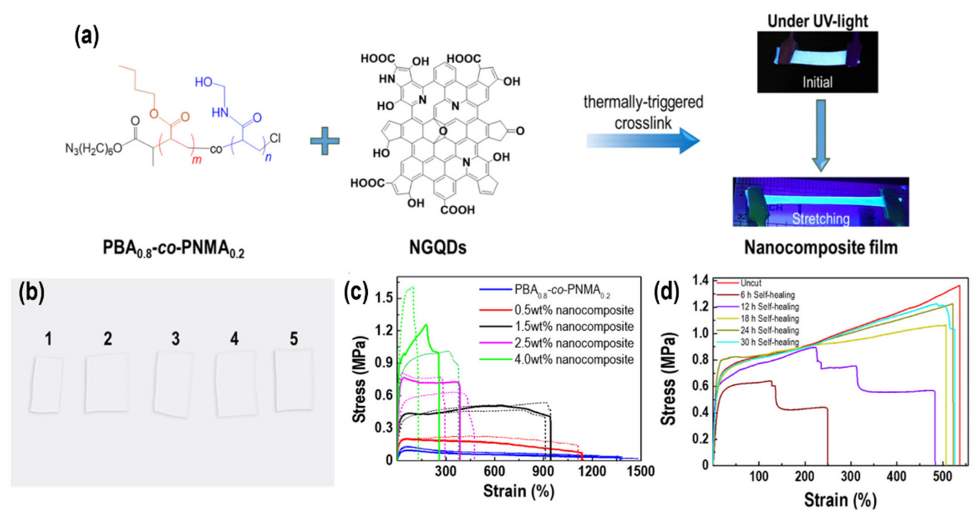 Chemosensors | Free Full-Text | Graphene Quantum Dot-Enabled ...