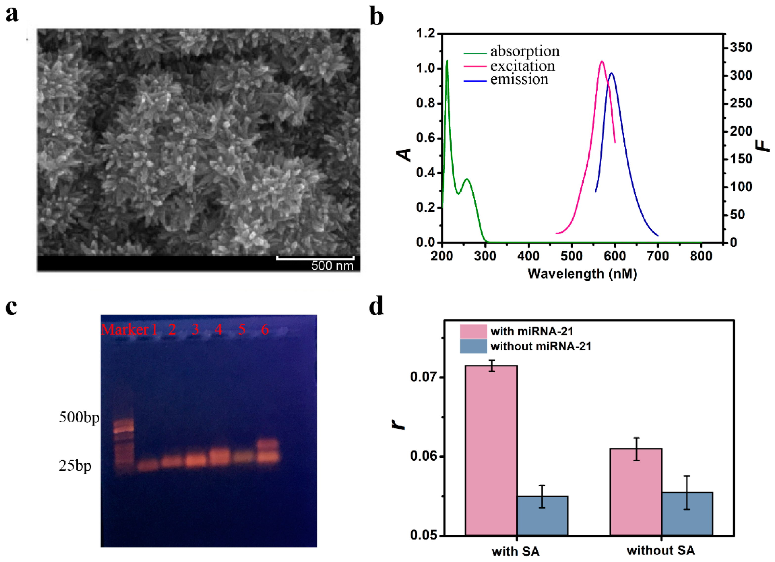Chemosensors 10 00501 g002