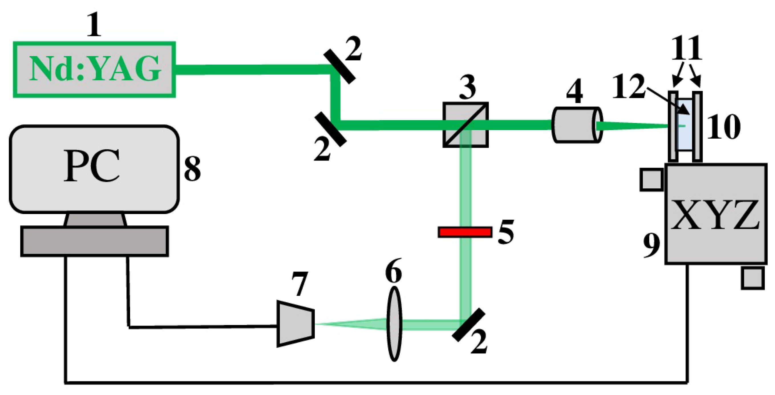 Chemosensors 10 00513 g001