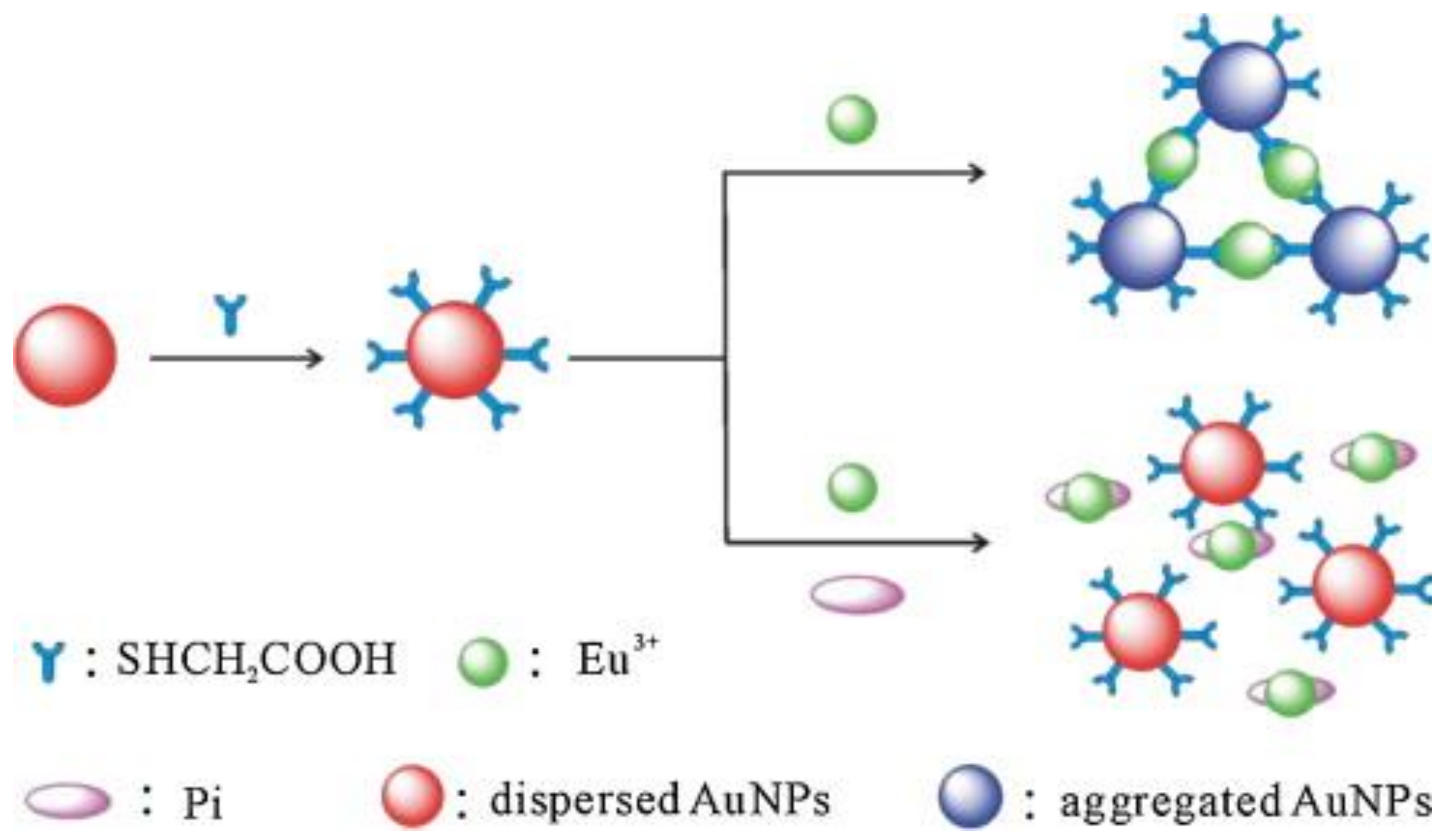 Chemosensors Free Full Text Review On Anti Aggregation Enabled