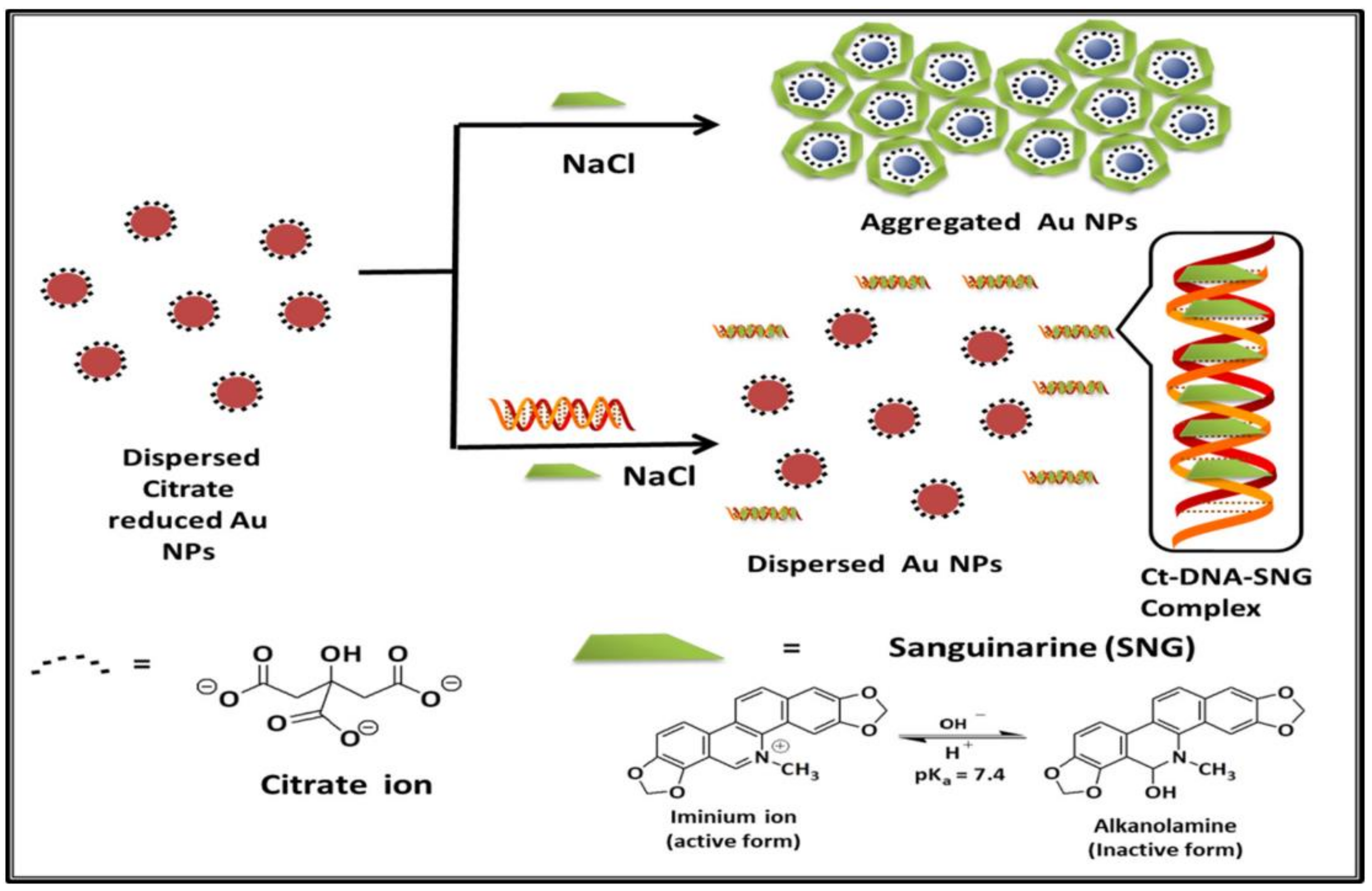 Chemosensors Free Full Text Review On Anti Aggregation Enabled