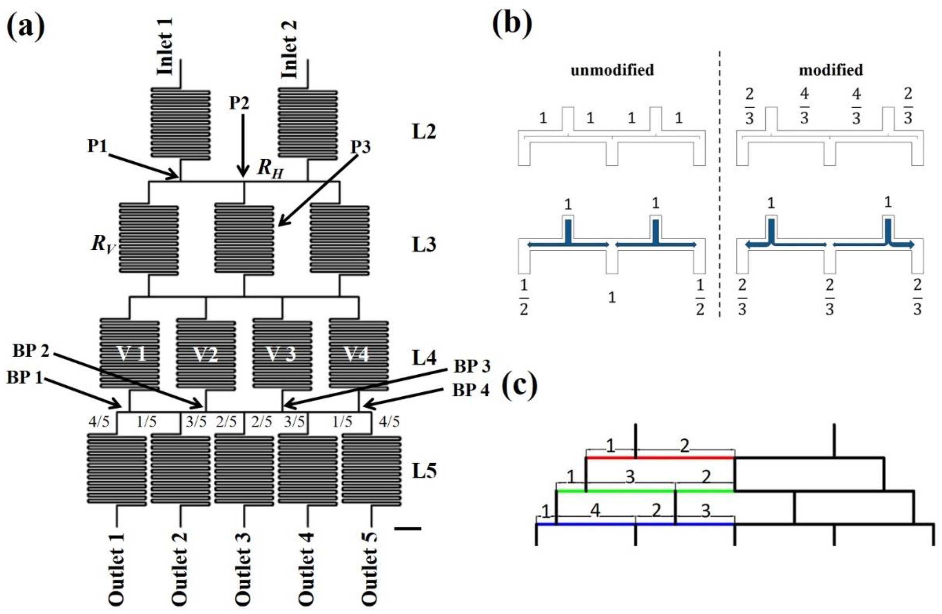 Chemosensors 11 00002 g001