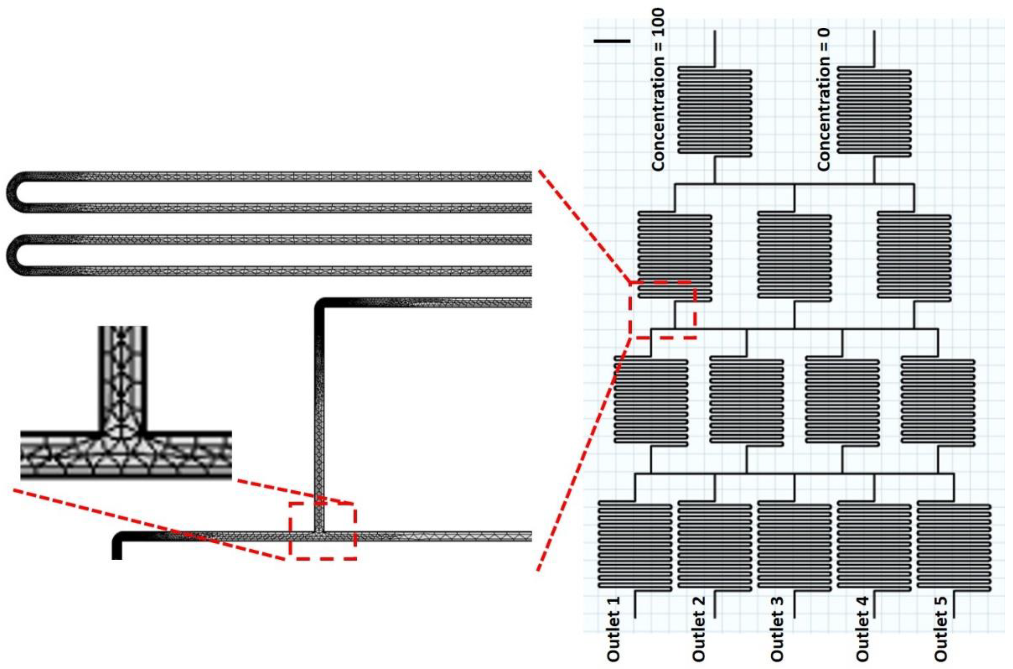 Chemosensors 11 00002 g002
