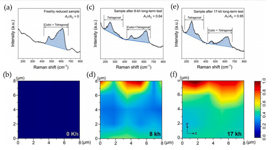 Chemosensors | Free Full-Text | Nanostructures for In Situ SERS 