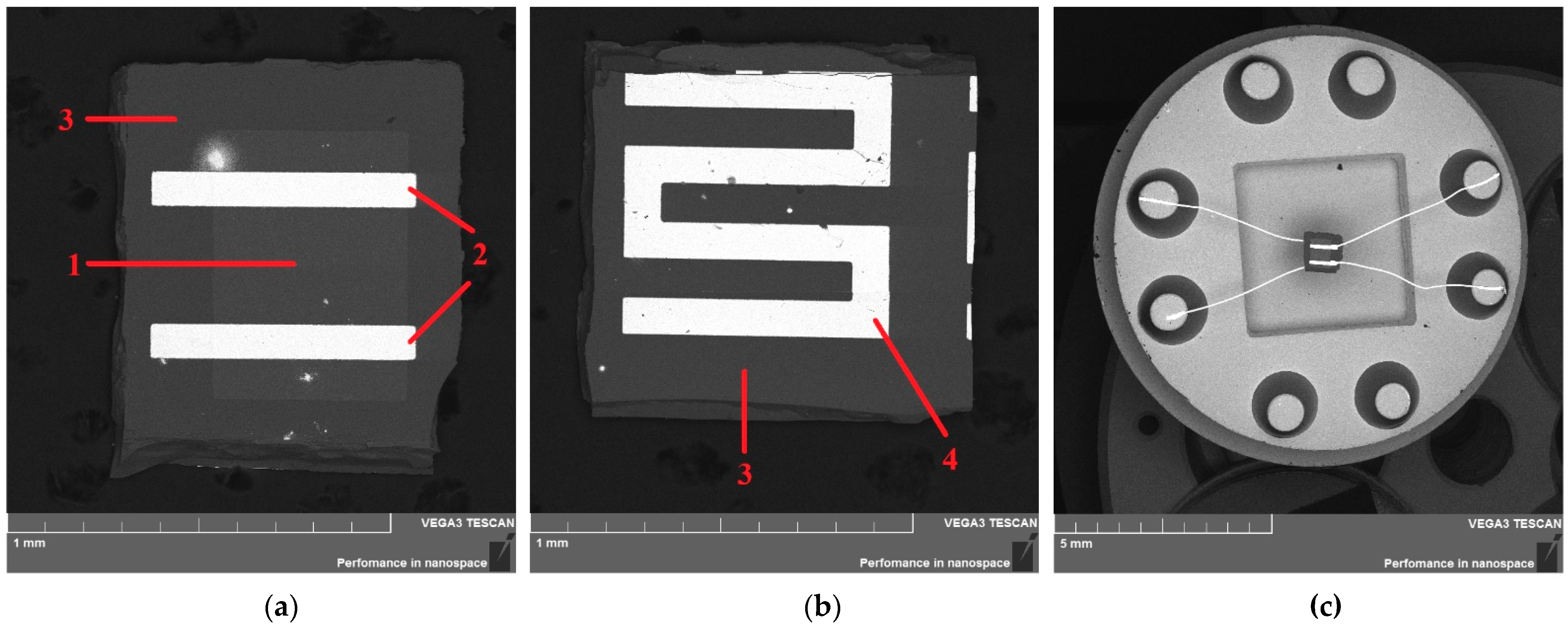 Chemosensors 11 00023 g001