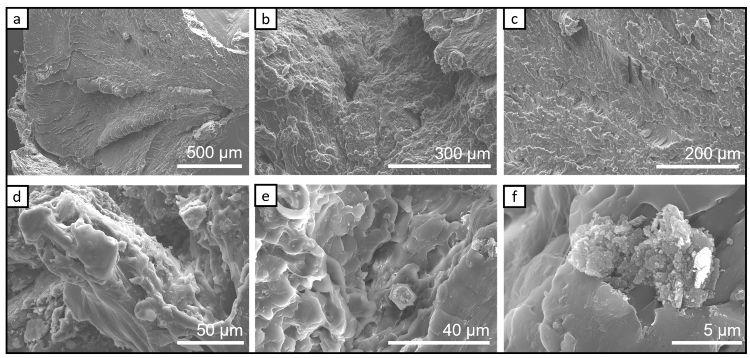 Chemosensors 11 00028 g005