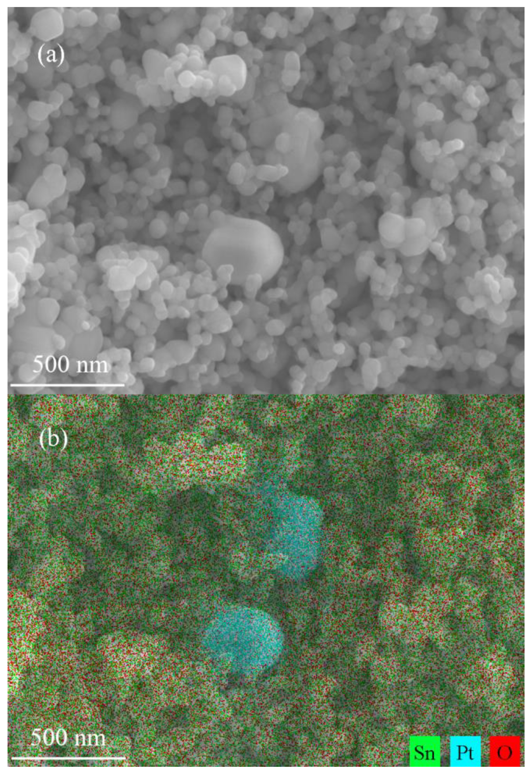 Chemosensors 11 00031 g003