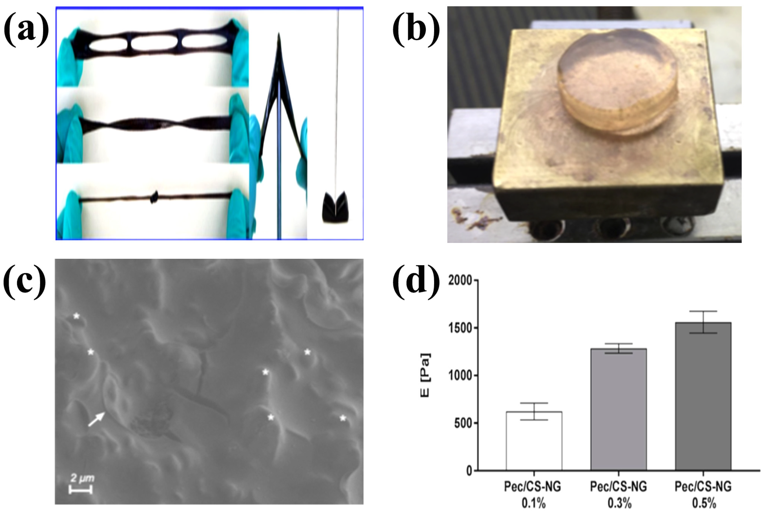 Chemosensors 11 00039 g002
