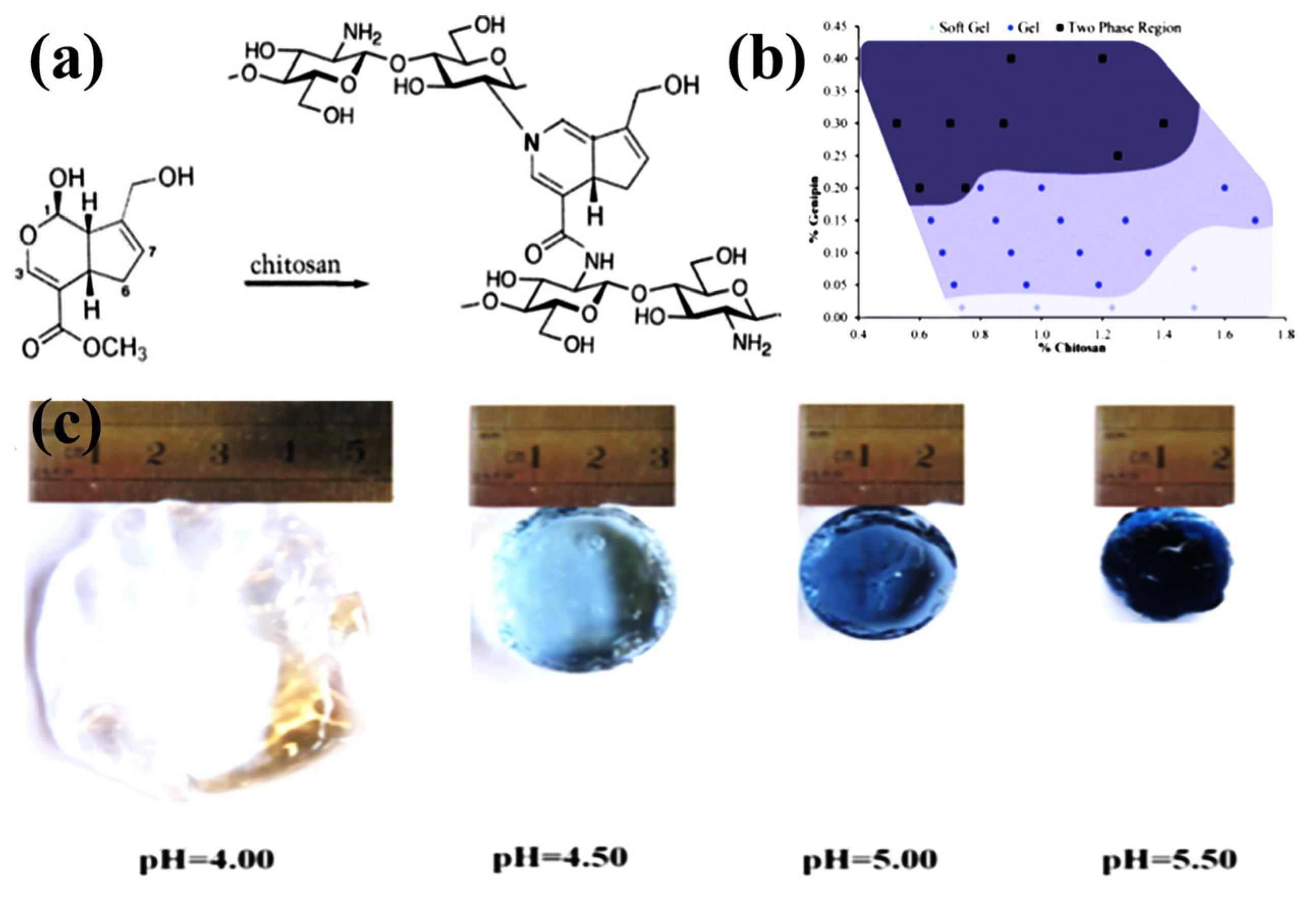 Chemosensors 11 00039 g003