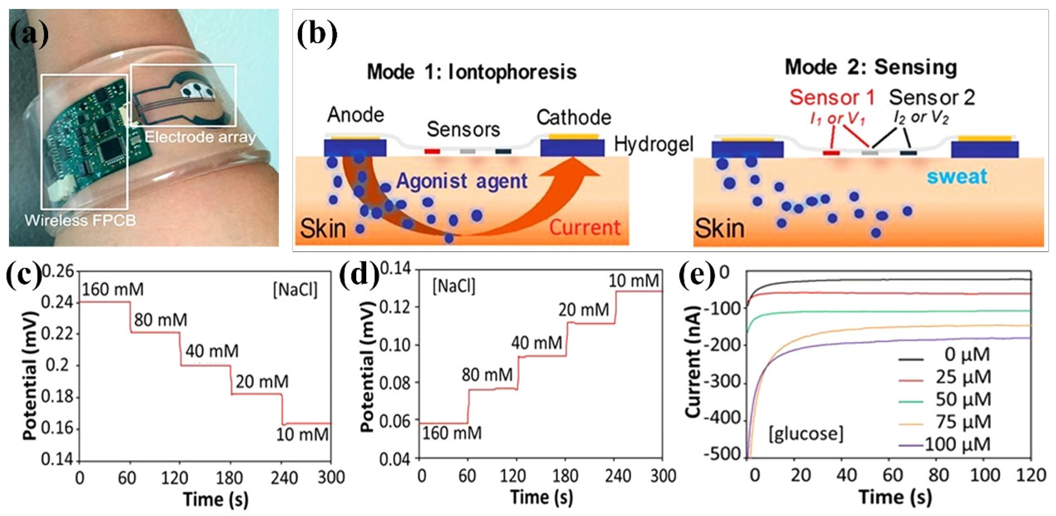 Chemosensors 11 00039 g007