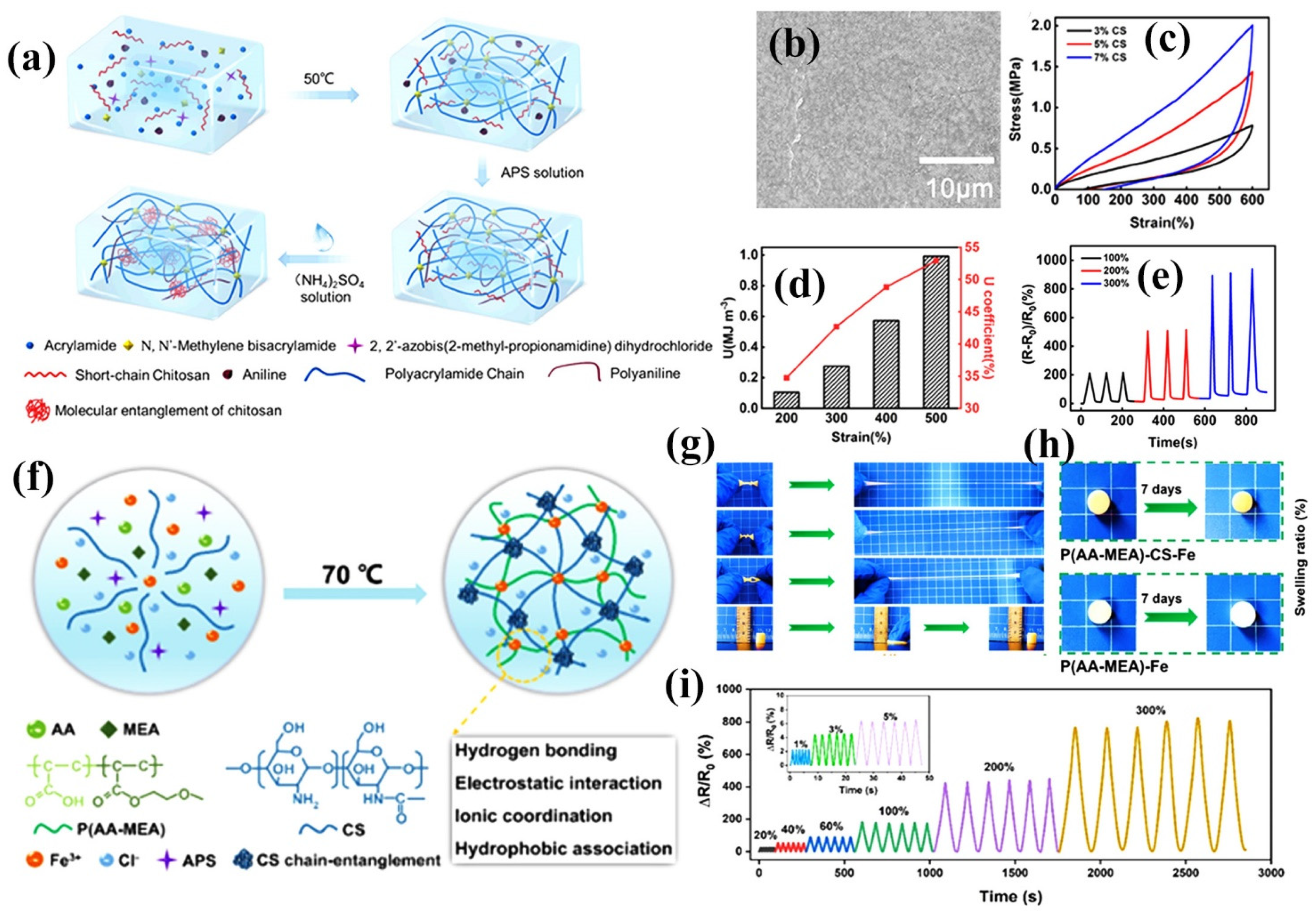 Chemosensors 11 00039 g008