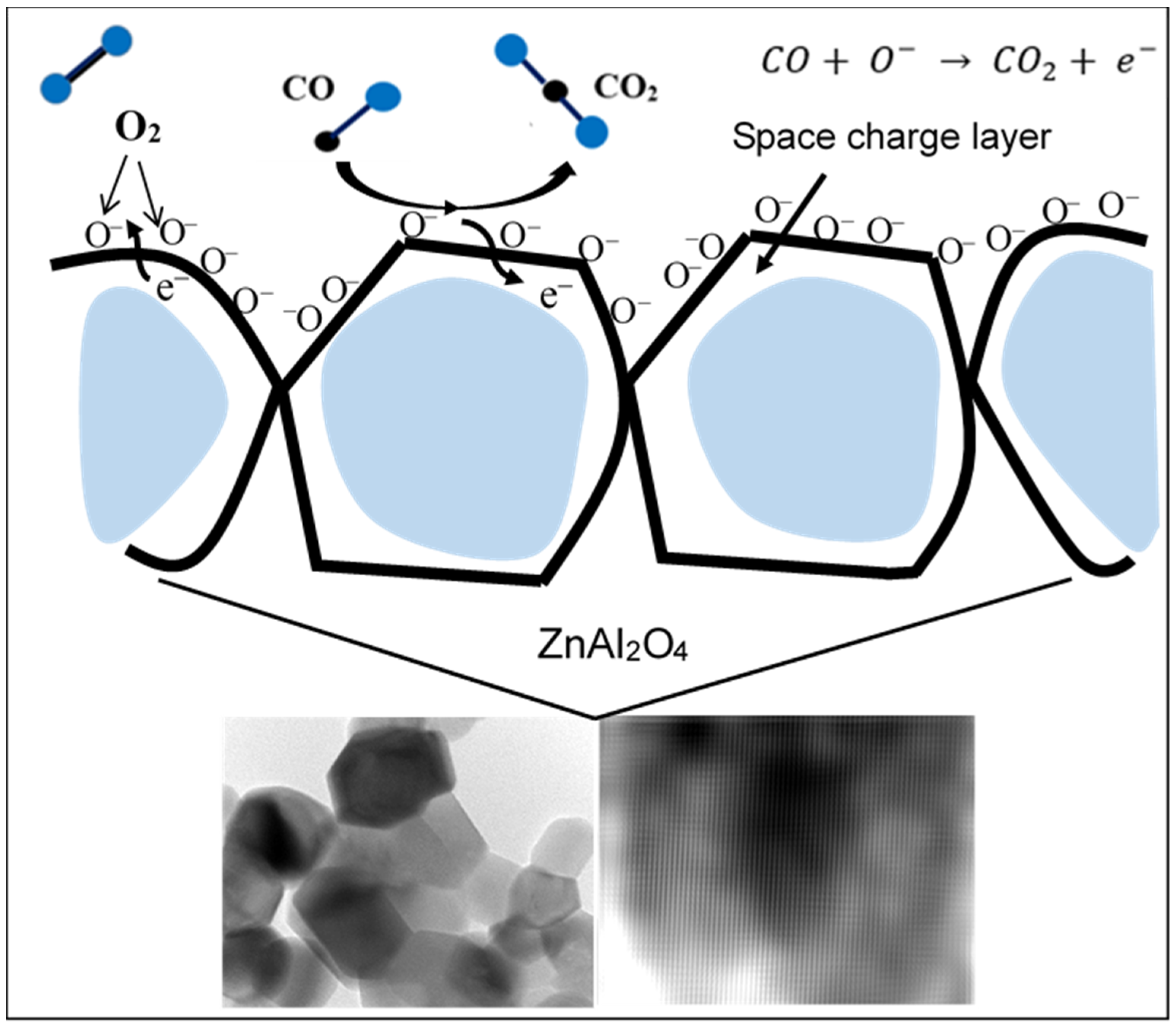 Chemosensors 11 00105 g014