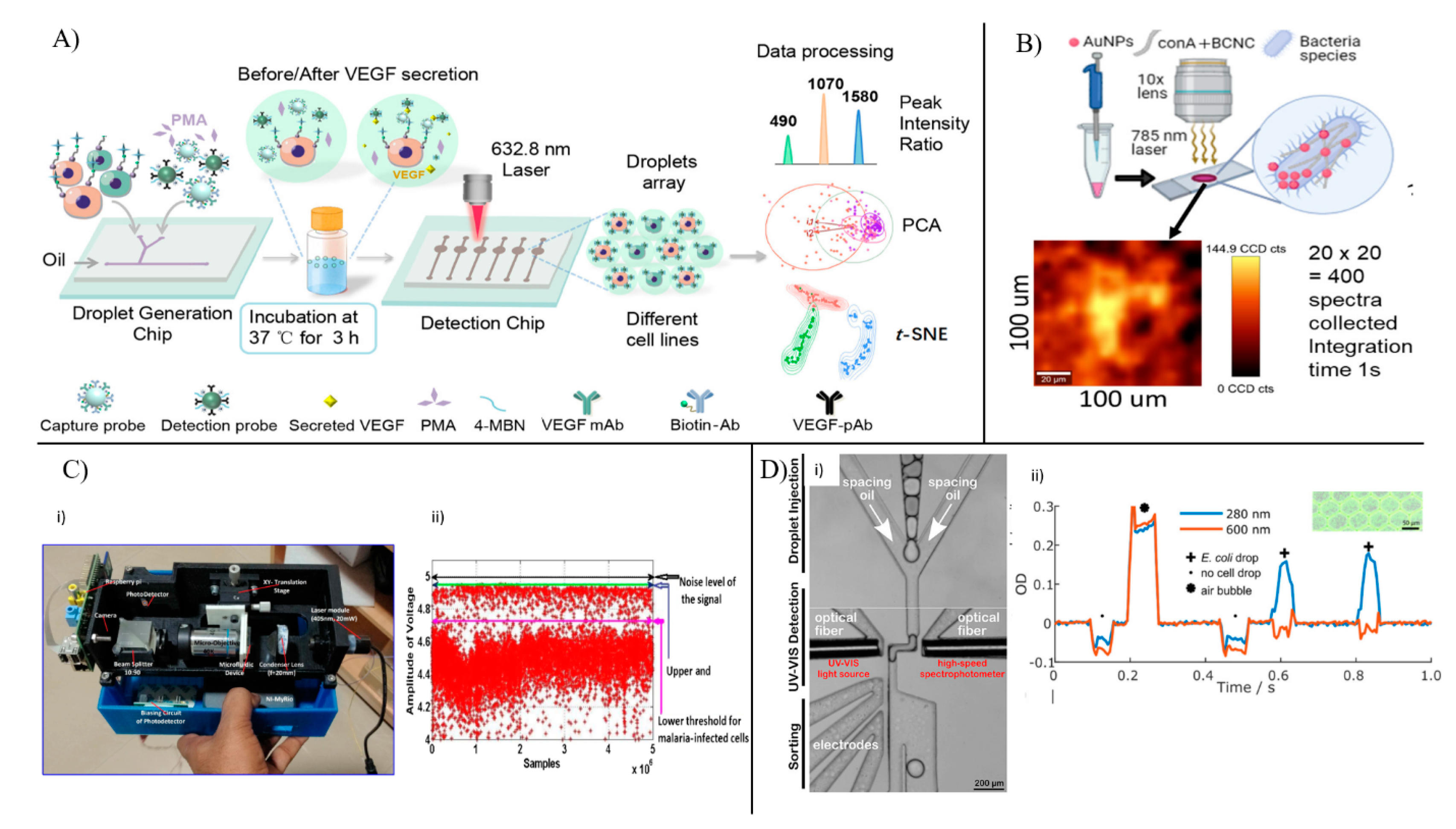 Chemosensors 11 00107 g006
