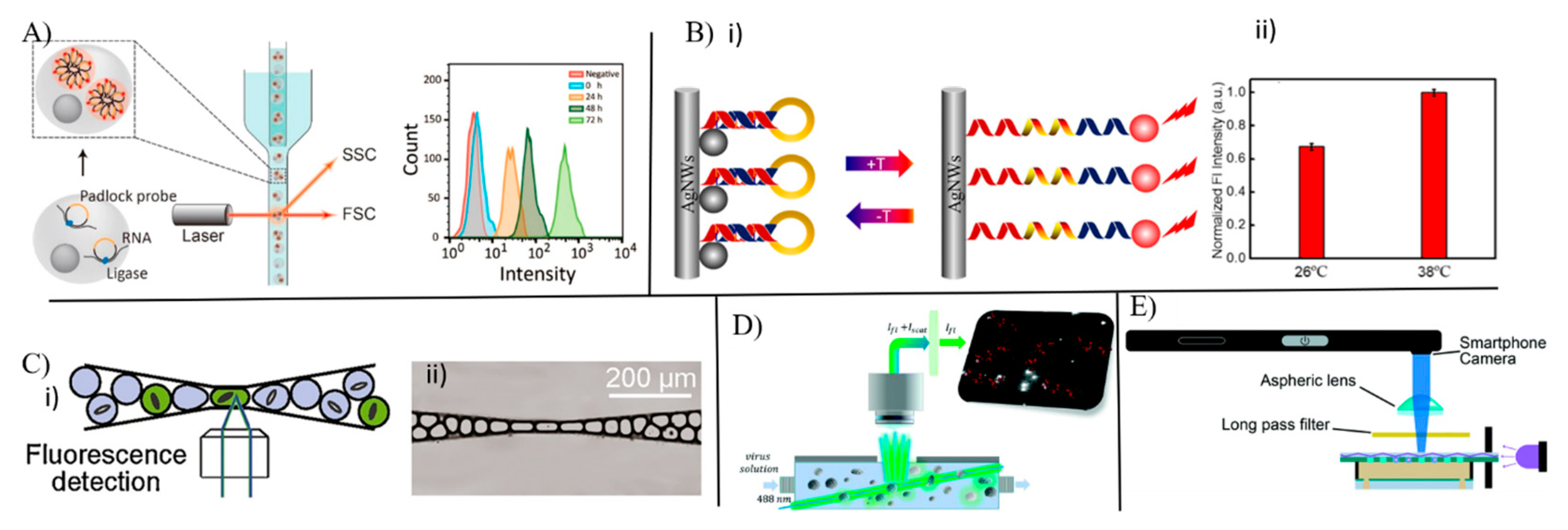 Chemosensors 11 00107 g007
