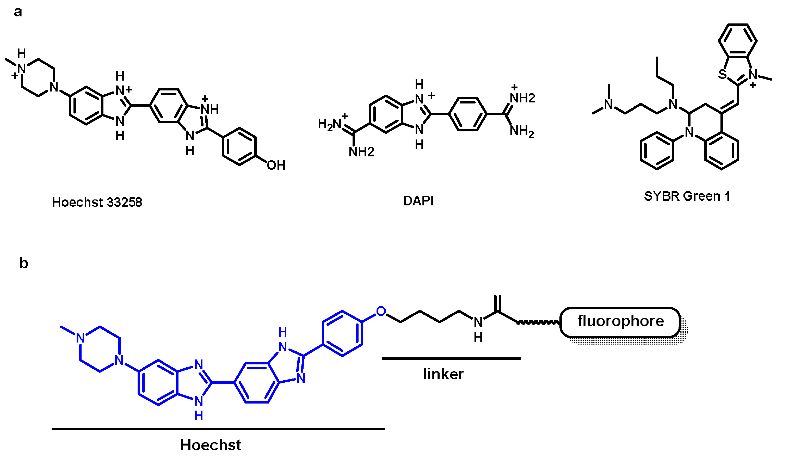 Chemosensors 11 00125 g002
